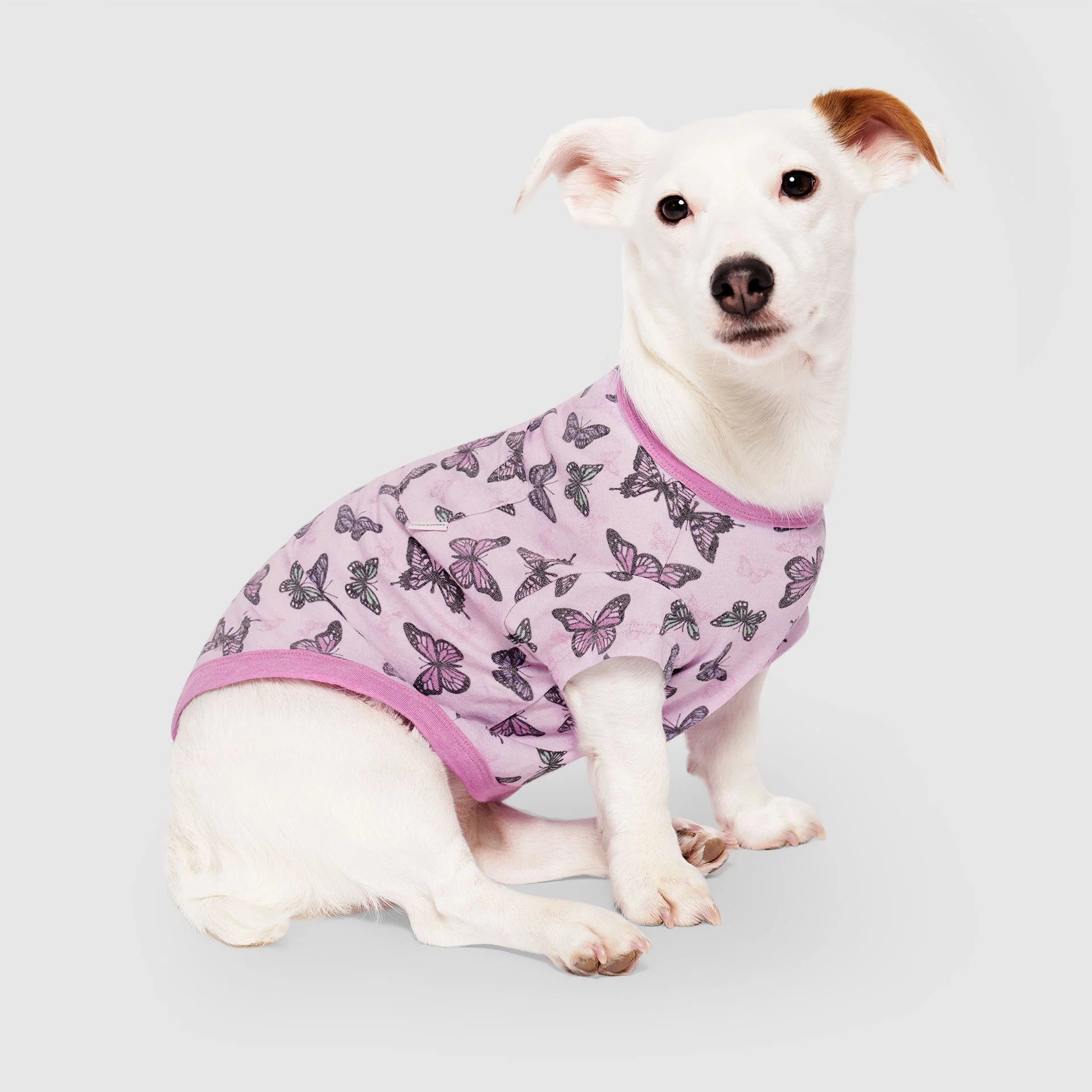 Canada Pooch Follow Me Tee