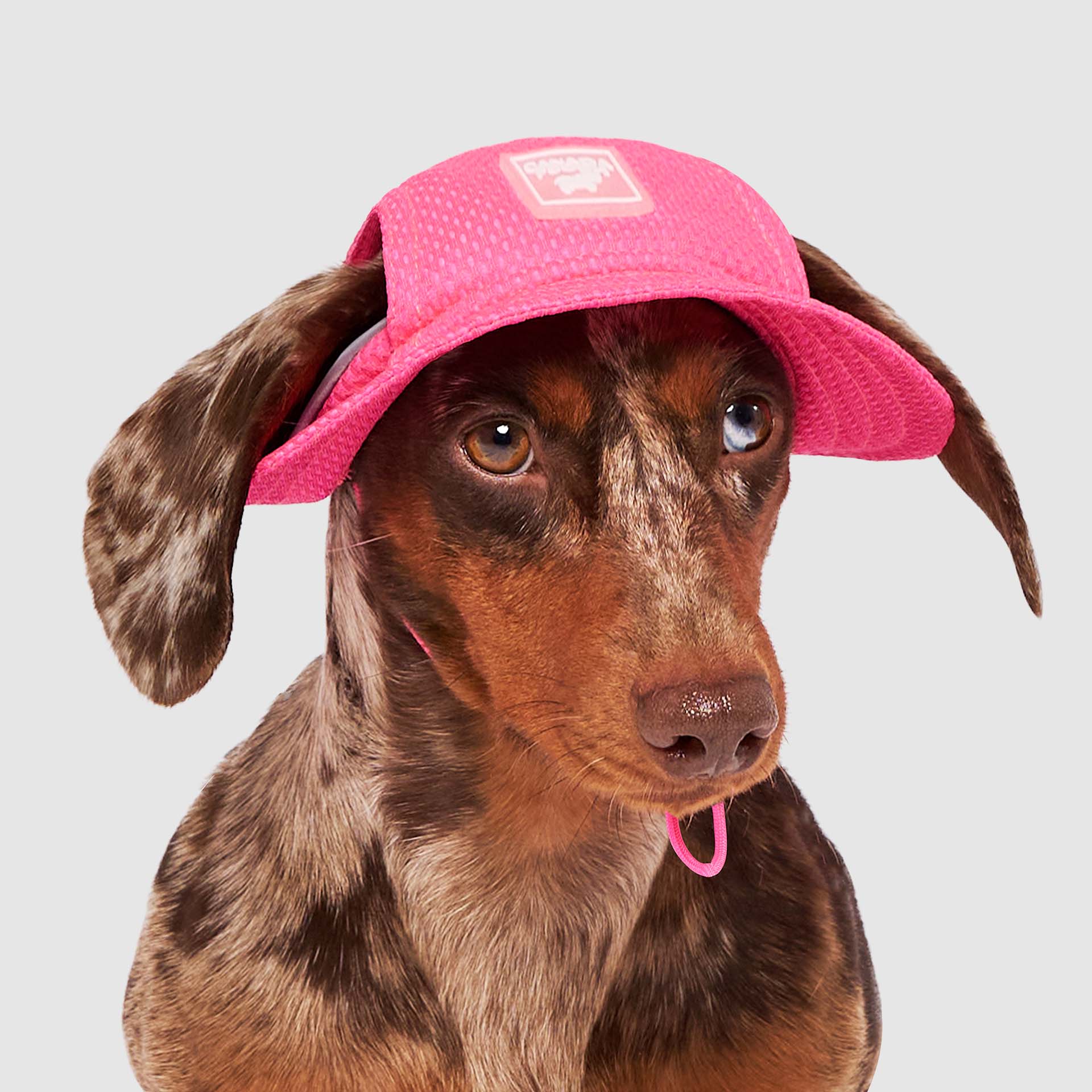 Canada Pooch Chill Seeker Cooling Hat - Image 5