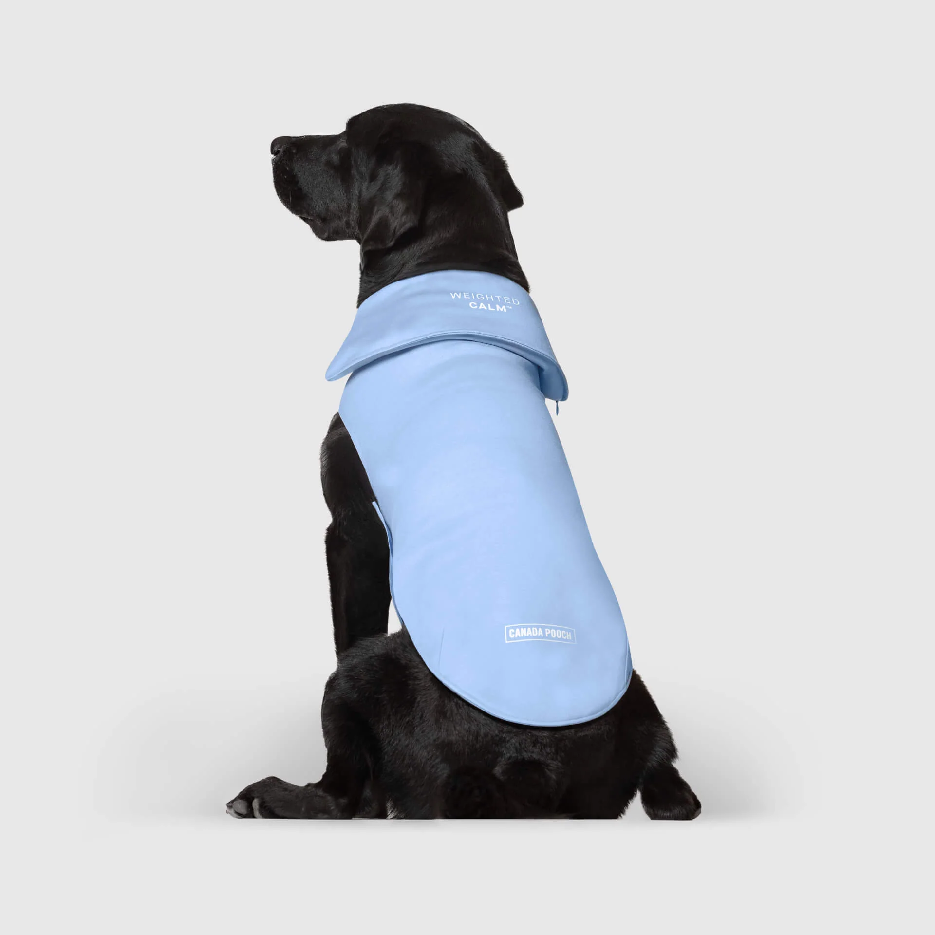 Canada Pooch Weighted Calming Vest