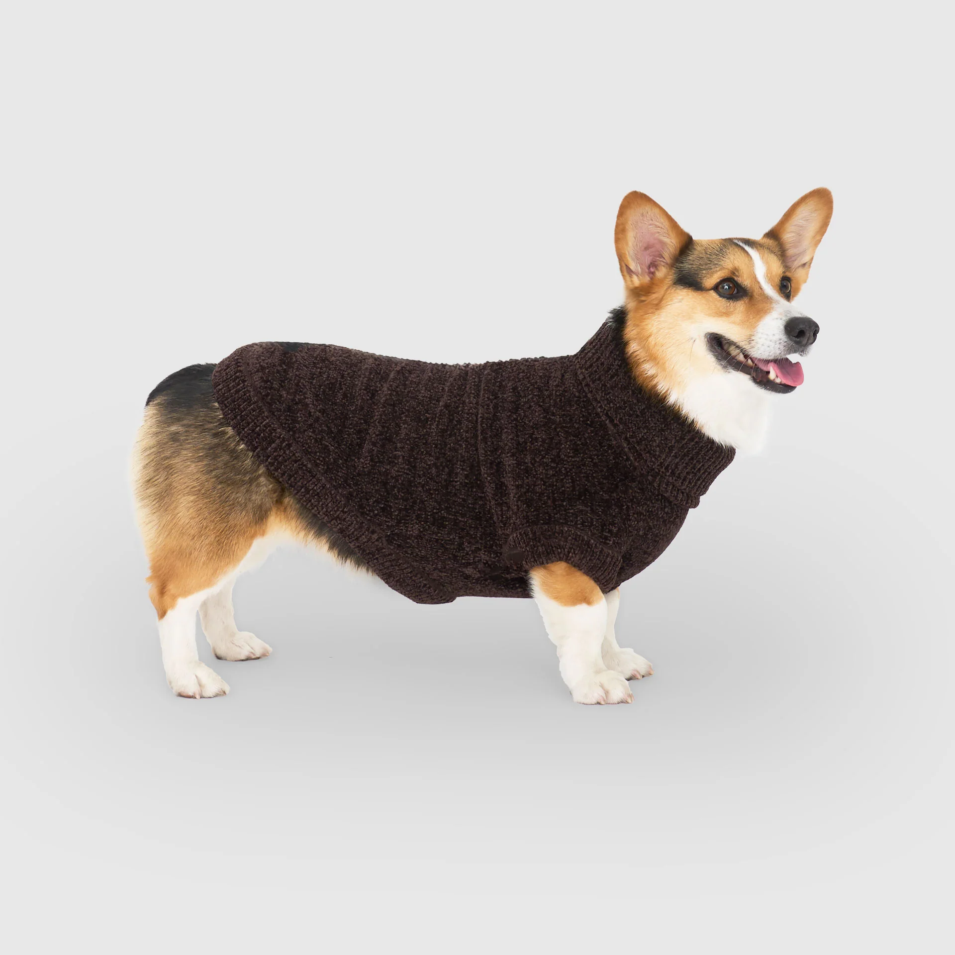 Canada Pooch Soho Sweater - Image 15