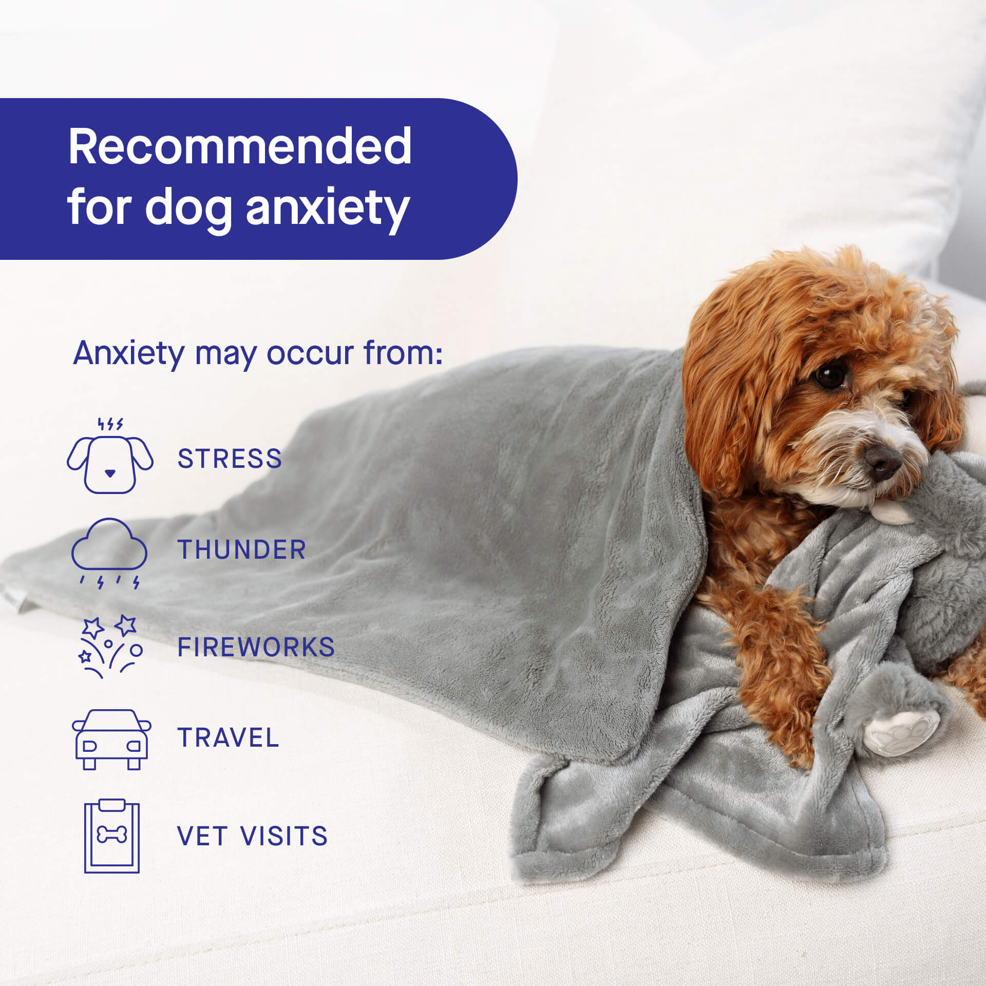 Canada Pooch Weighted Calming Blanket - Image 8