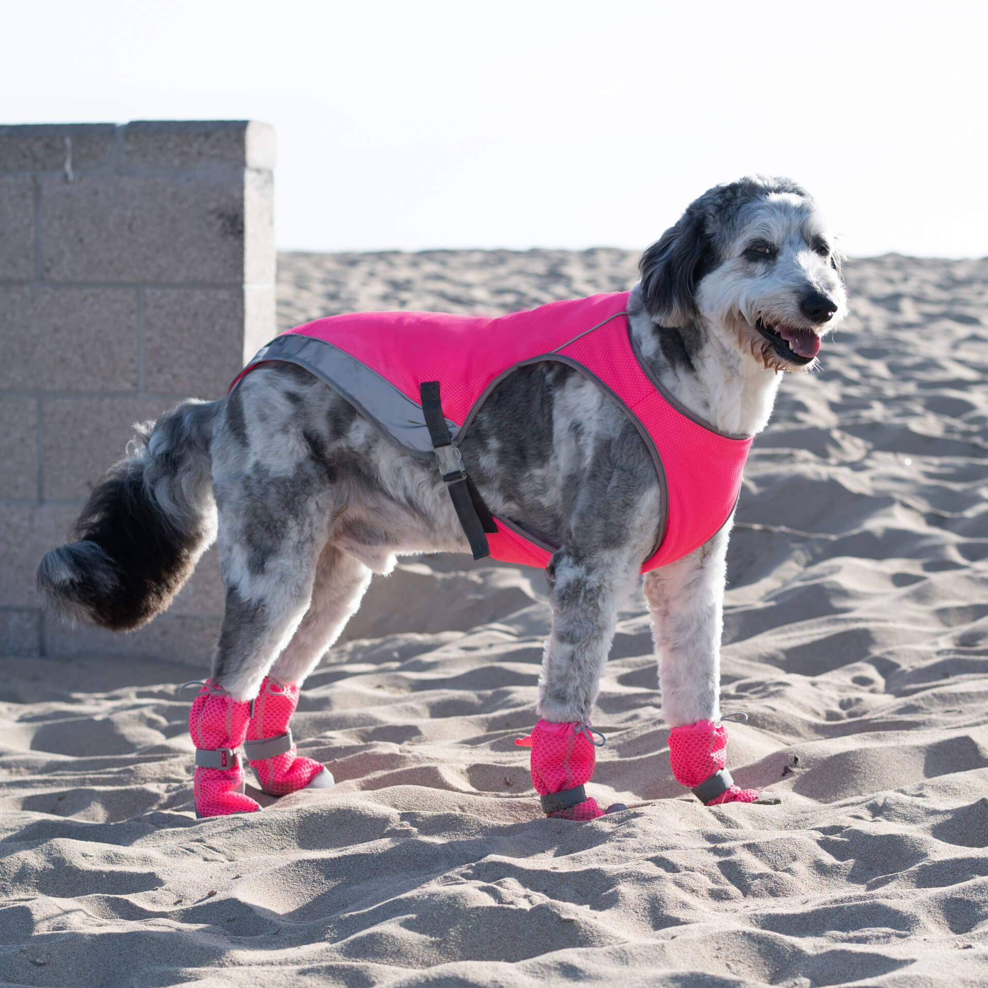 Canada Pooch Chill Seeker Cooling Vest - Image 35