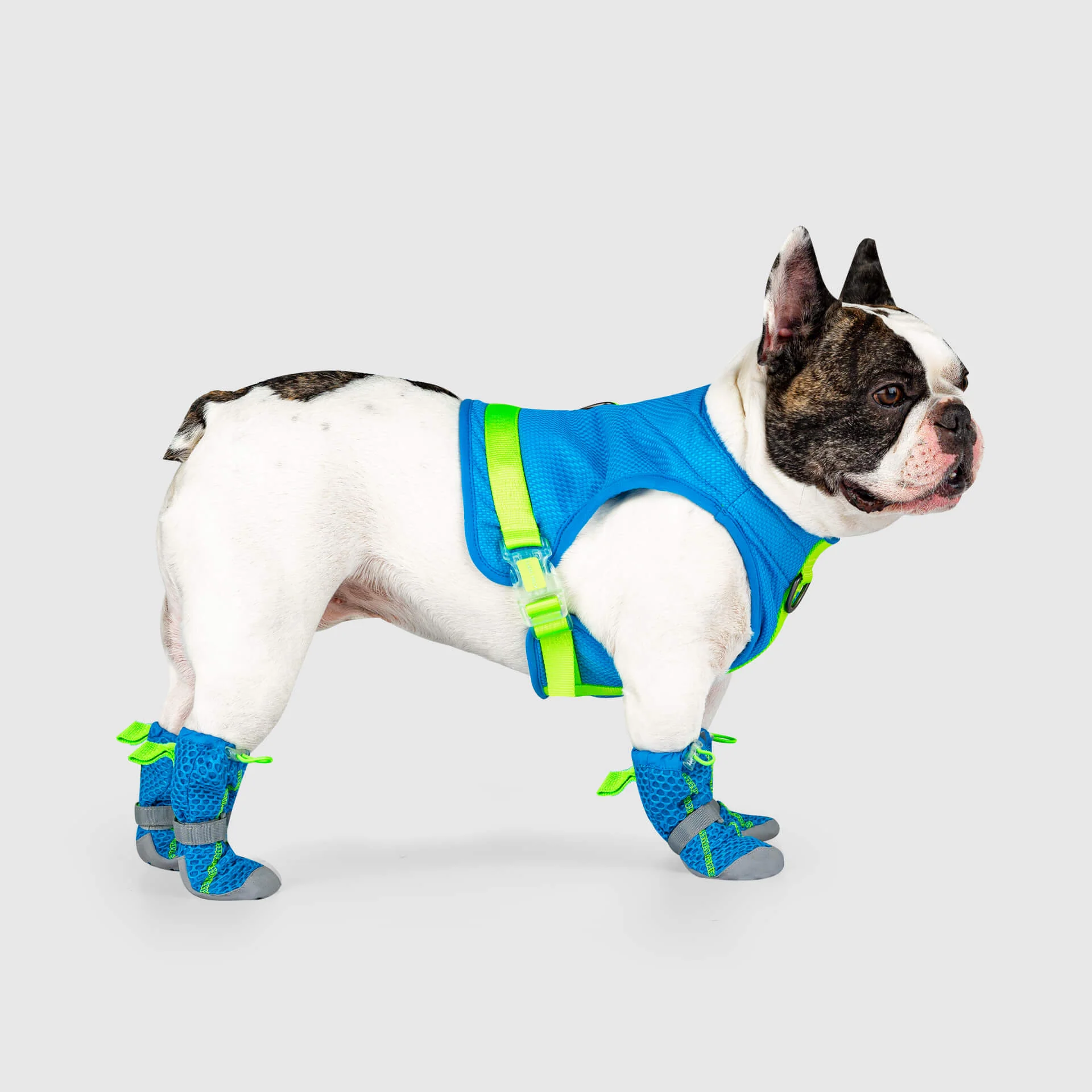 Canada Pooch Hot Pavement Boots - Image 3