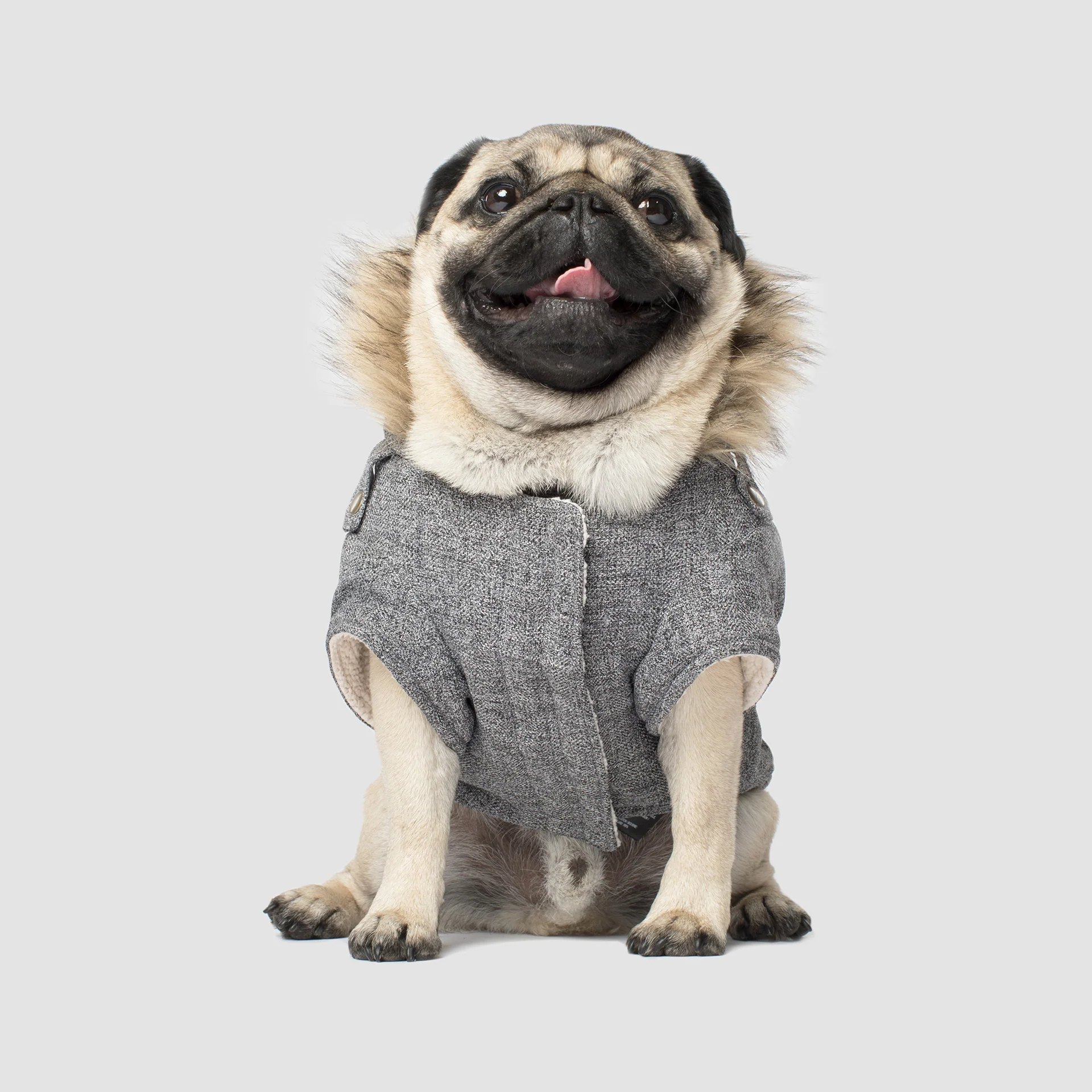 Canada Pooch Alaskan Army Parka - Image 11