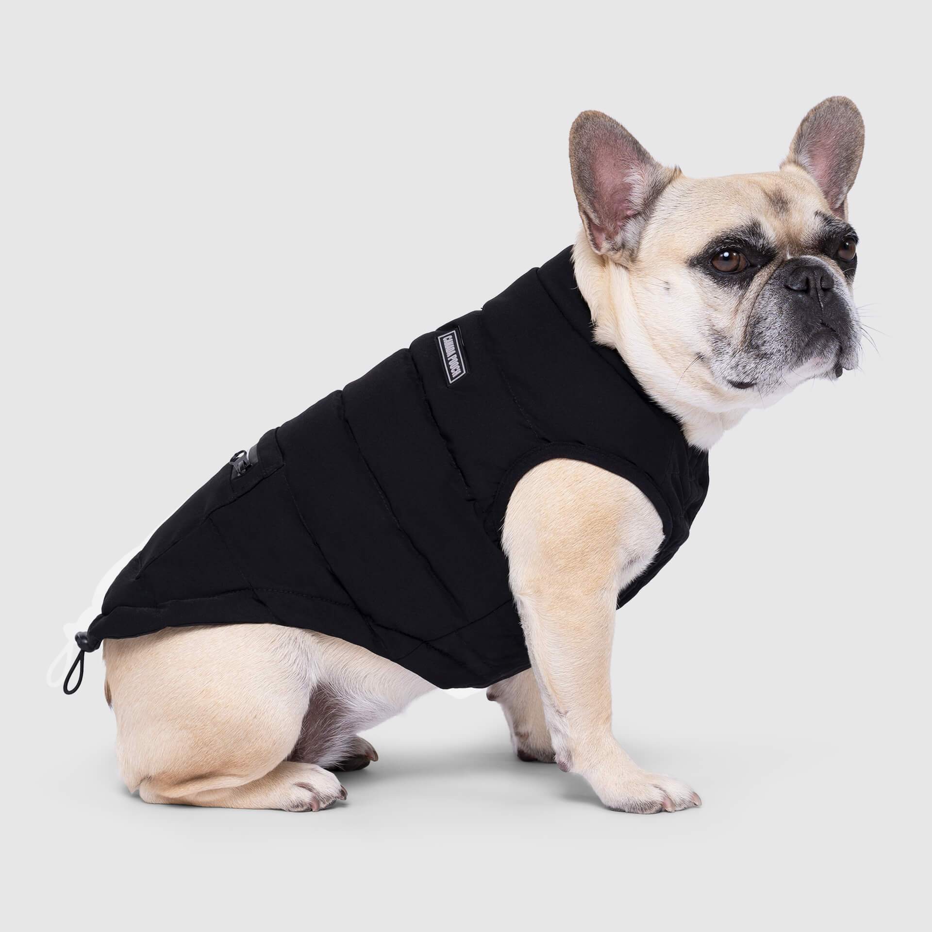 Canada Pooch Ultimate Stretch Vest