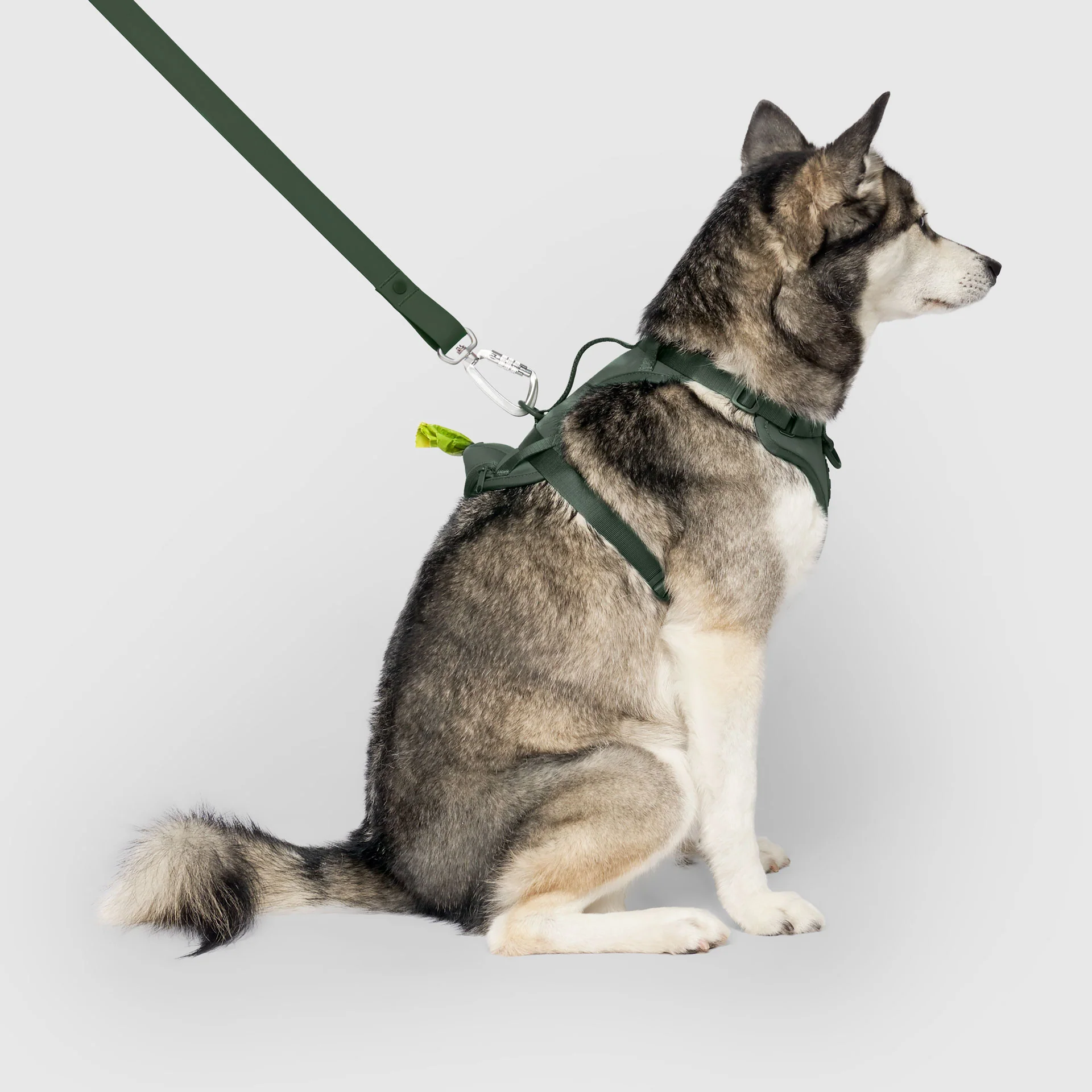 Canada Pooch Neoprene Harness