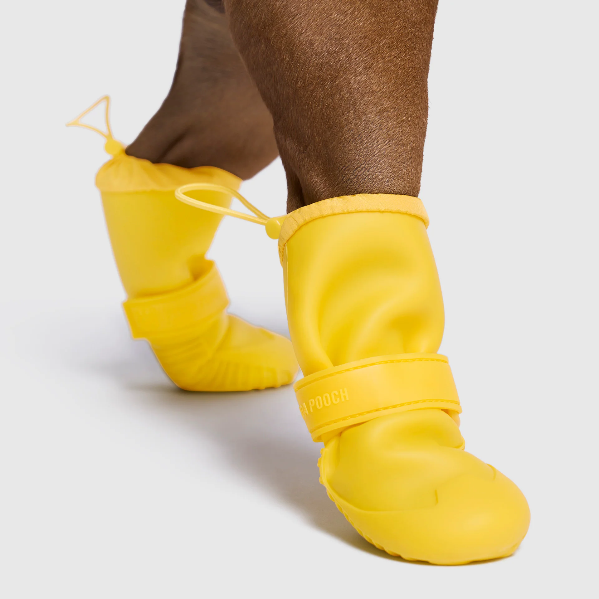 Canada Pooch Waterproof Rain Boots - Image 3