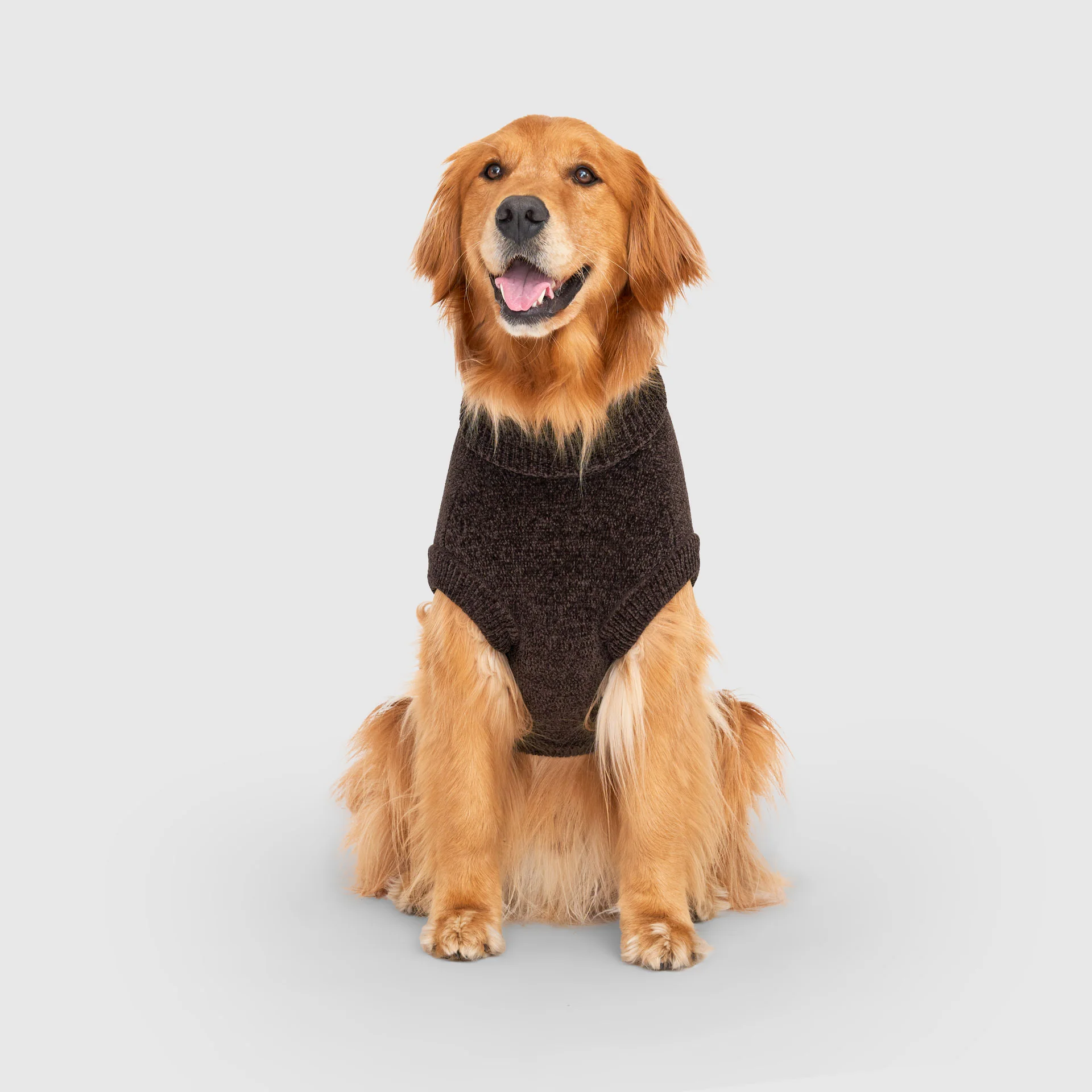 Canada Pooch Soho Sweater - Image 17