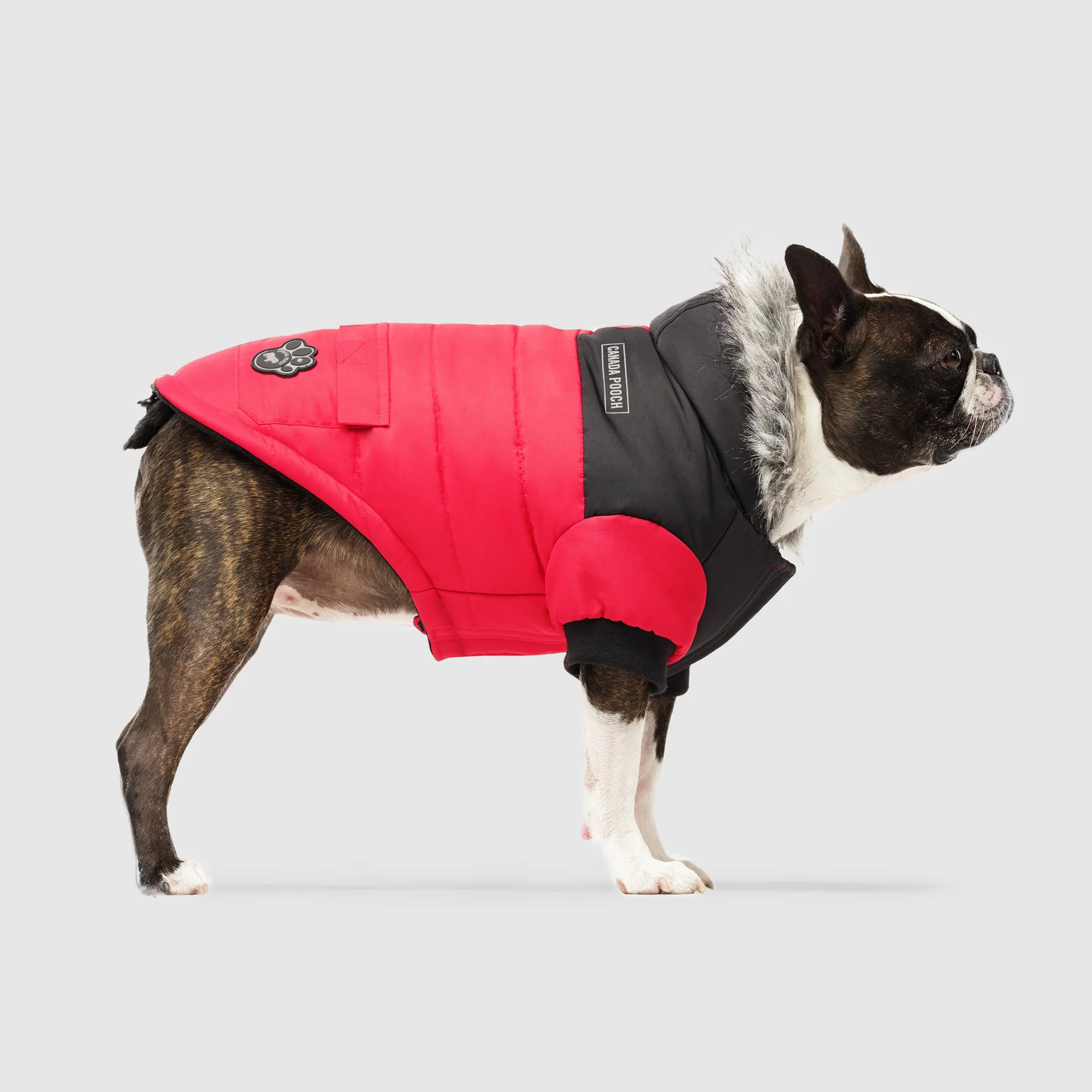 Canada Pooch True North Parka - Image 12