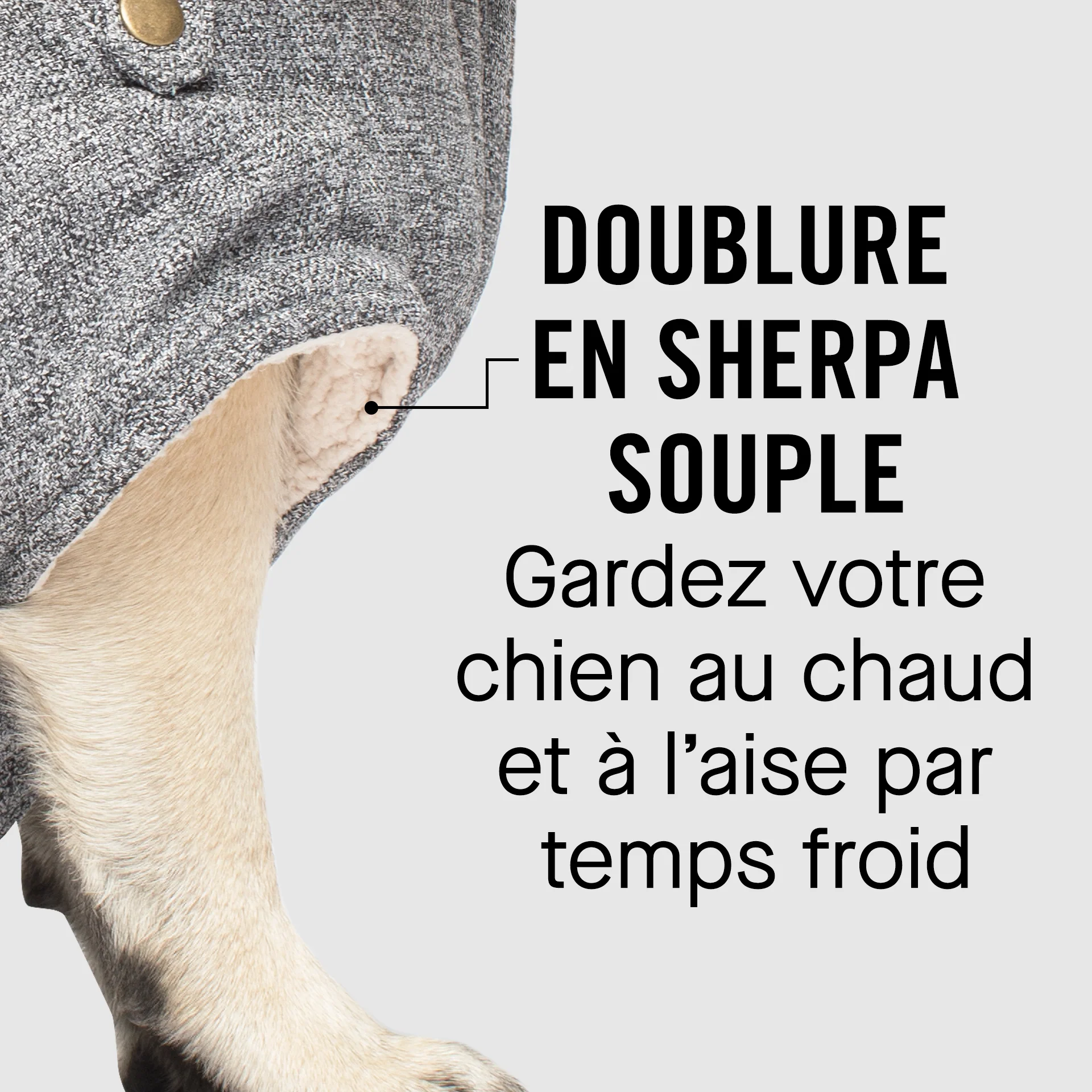 Canada Pooch Alaskan Army Parka - Image 6
