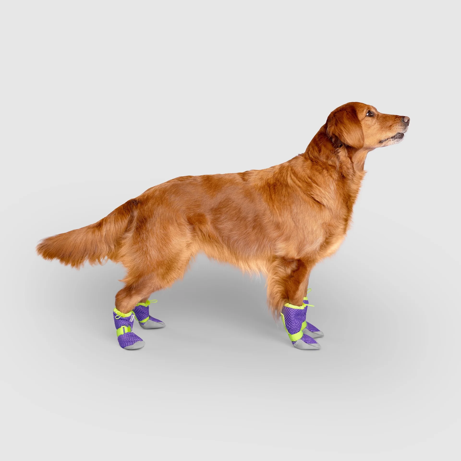 Canada Pooch Hot Pavement Boots - Image 18