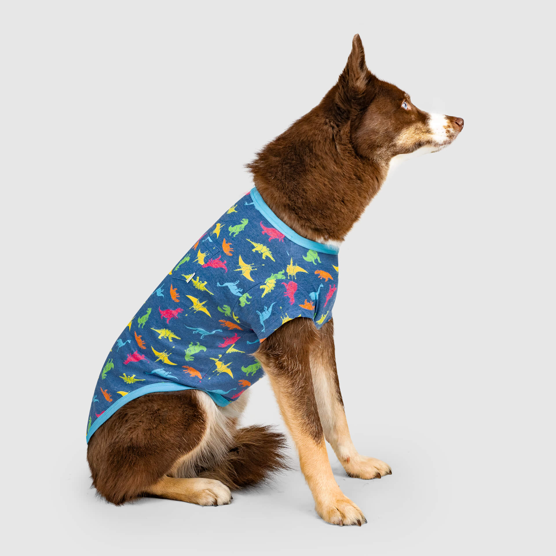Canada Pooch Follow Me Tee - Image 14