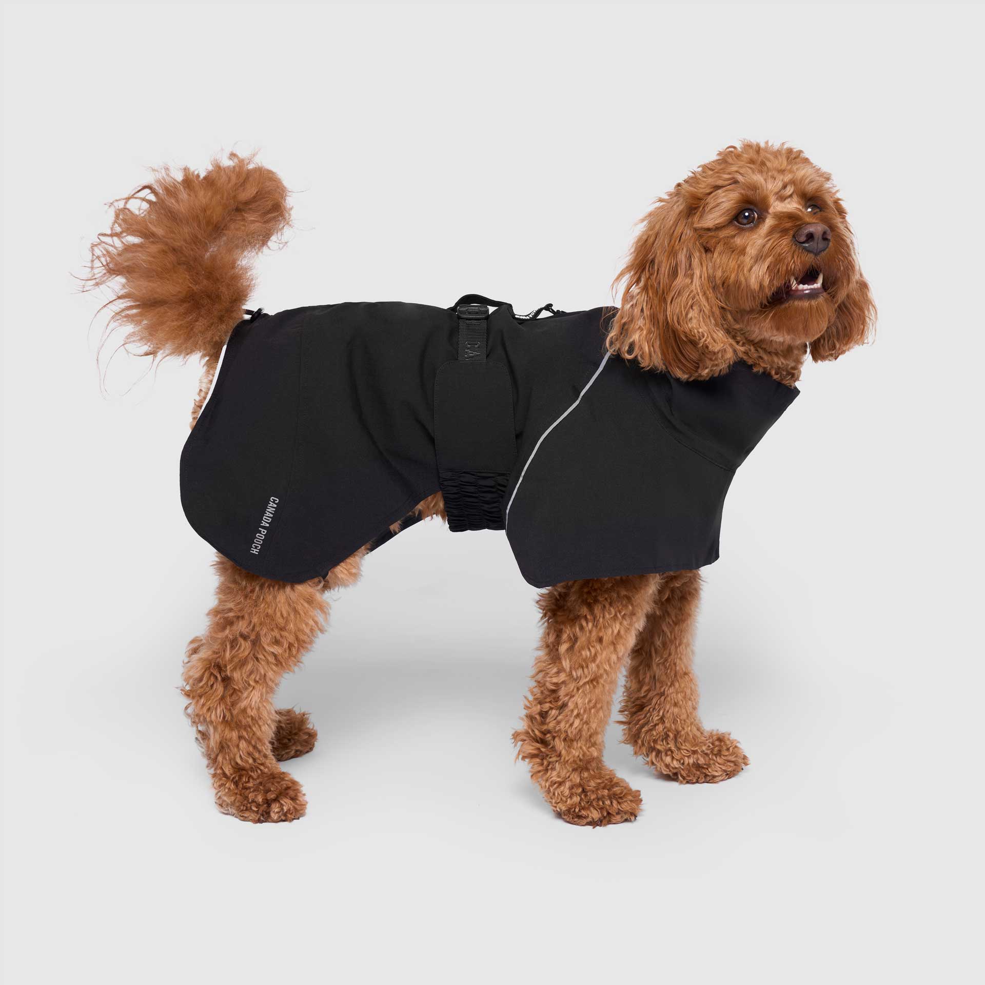 Canada Pooch Complete Coverage Raincoat — SKU SB-A53199-793DA42FA41734