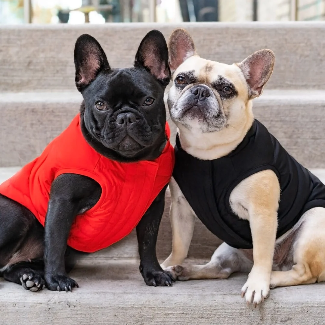 Canada Pooch Ultimate Stretch Vest - Image 10