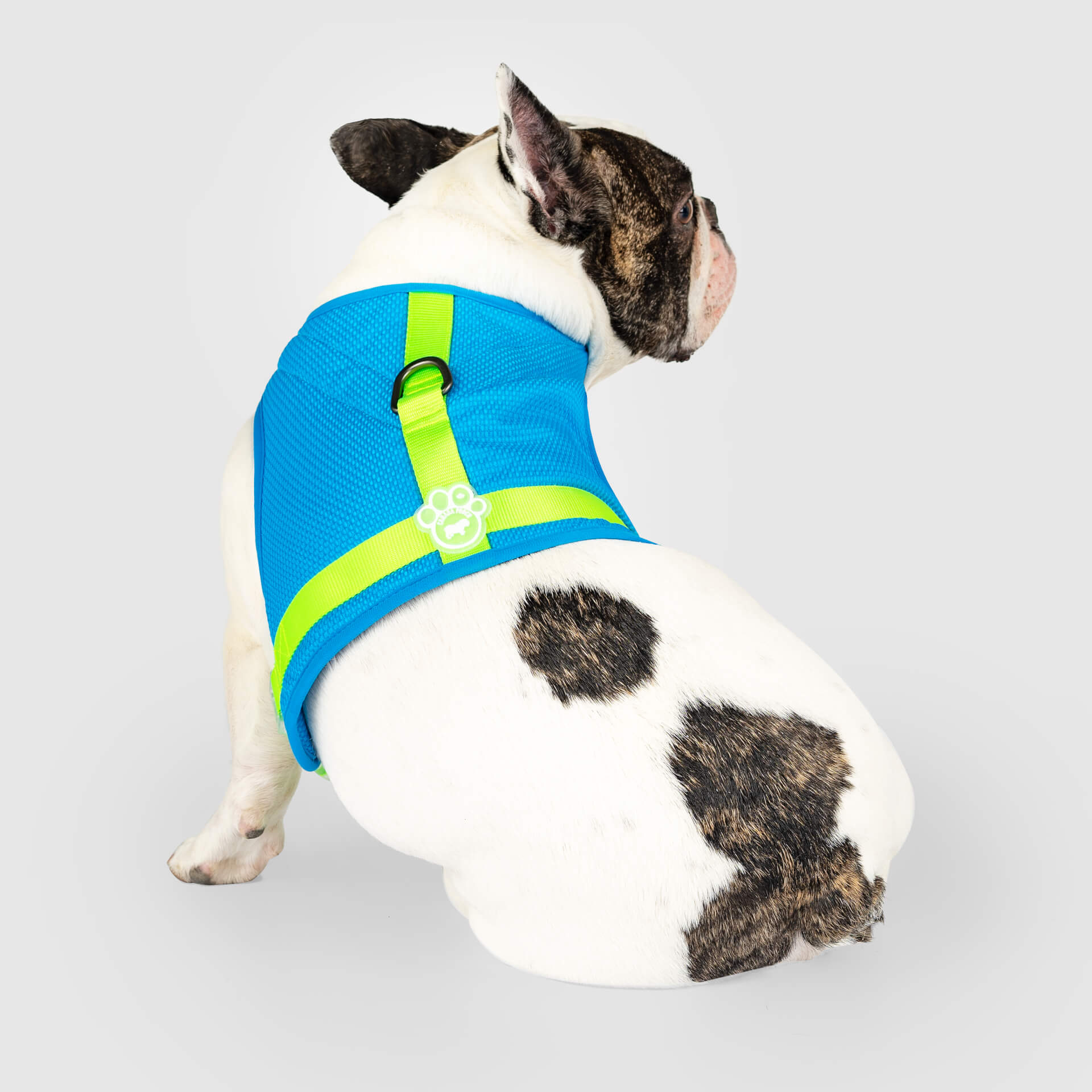 Canada Pooch Chill Seeker Cooling Harness - Image 3