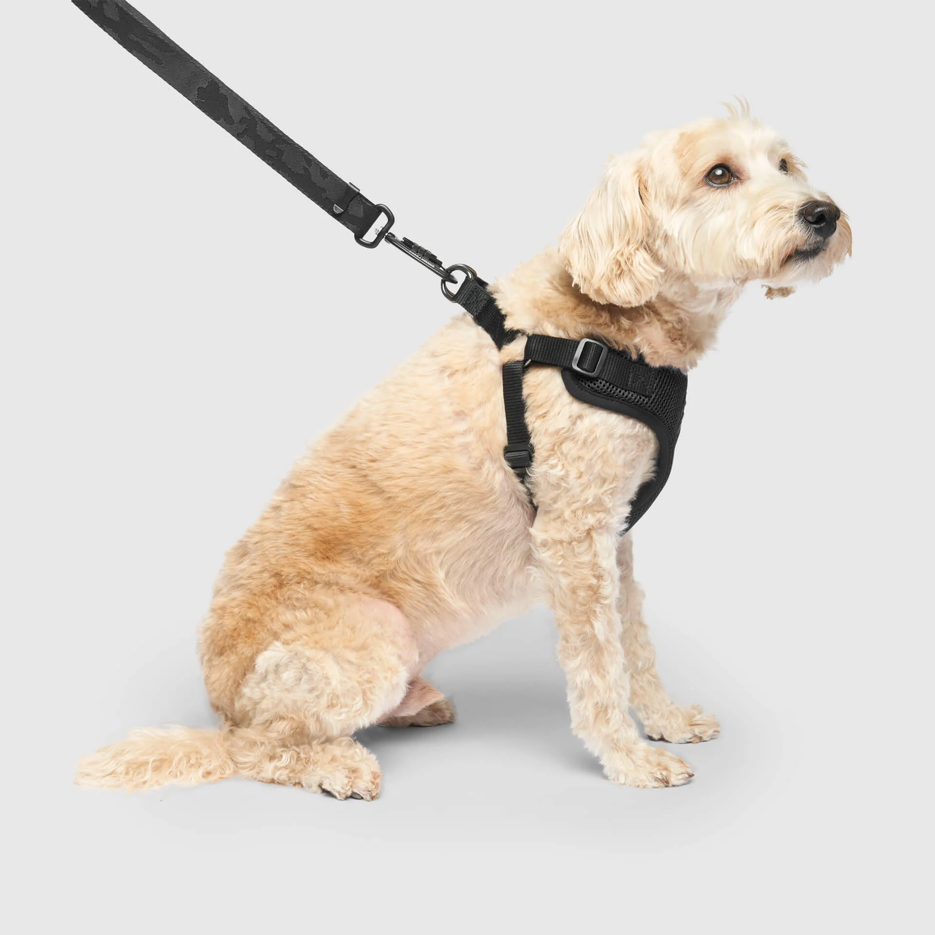 Canada Pooch Easy-On Step-In Harness
