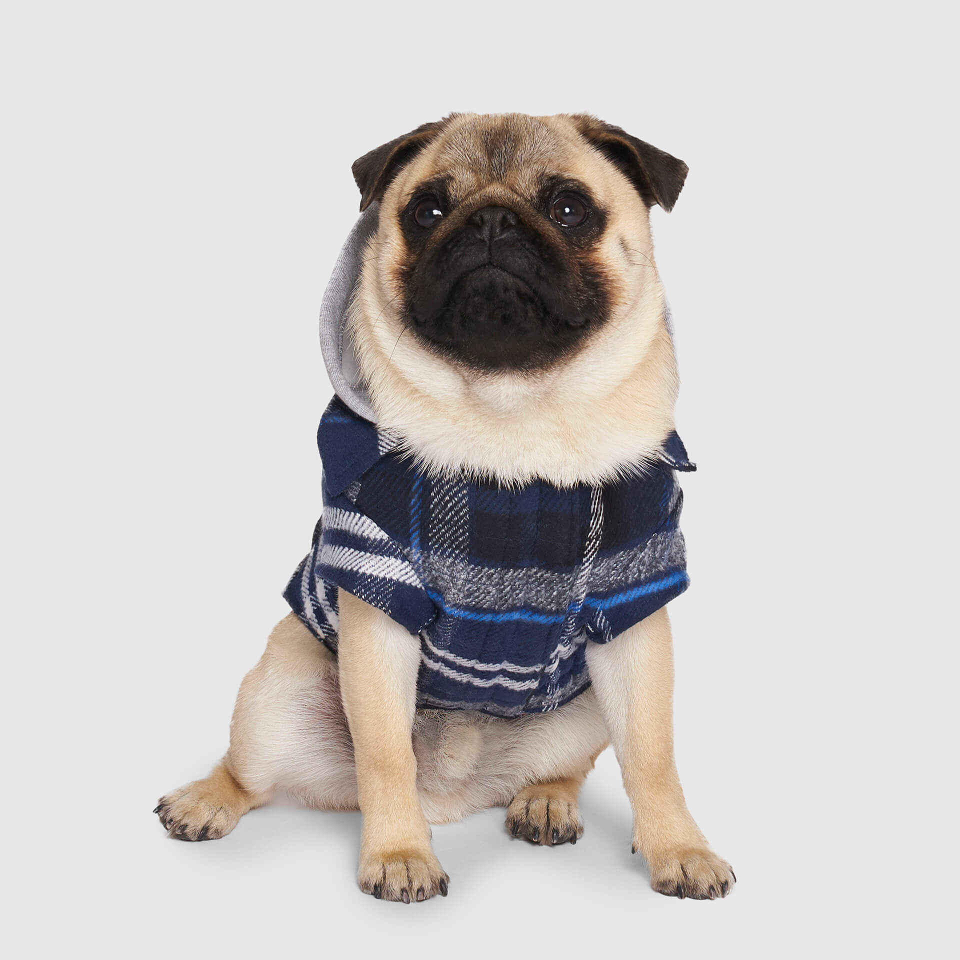 Canada Pooch The Shacket