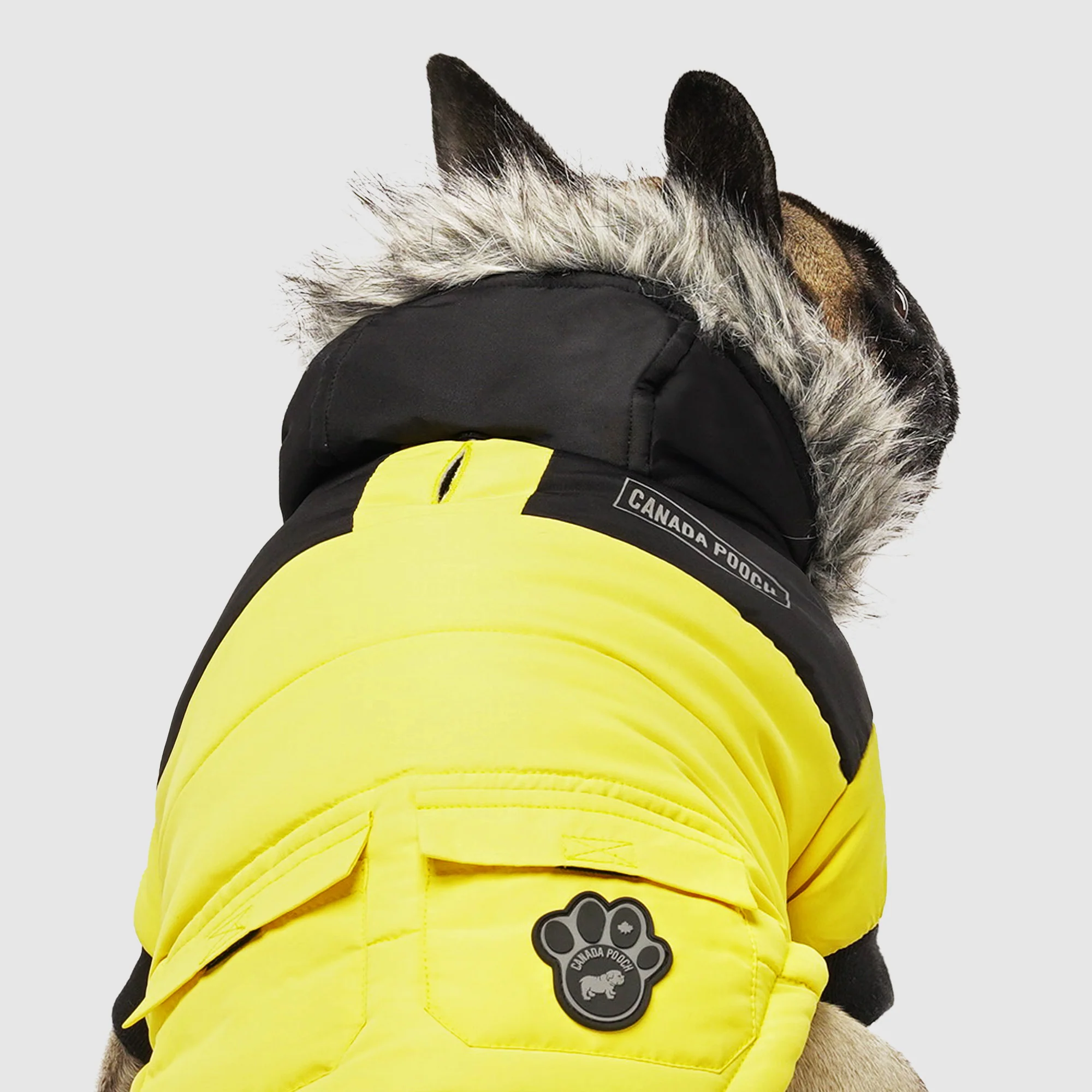 Canada Pooch True North Parka - Image 20