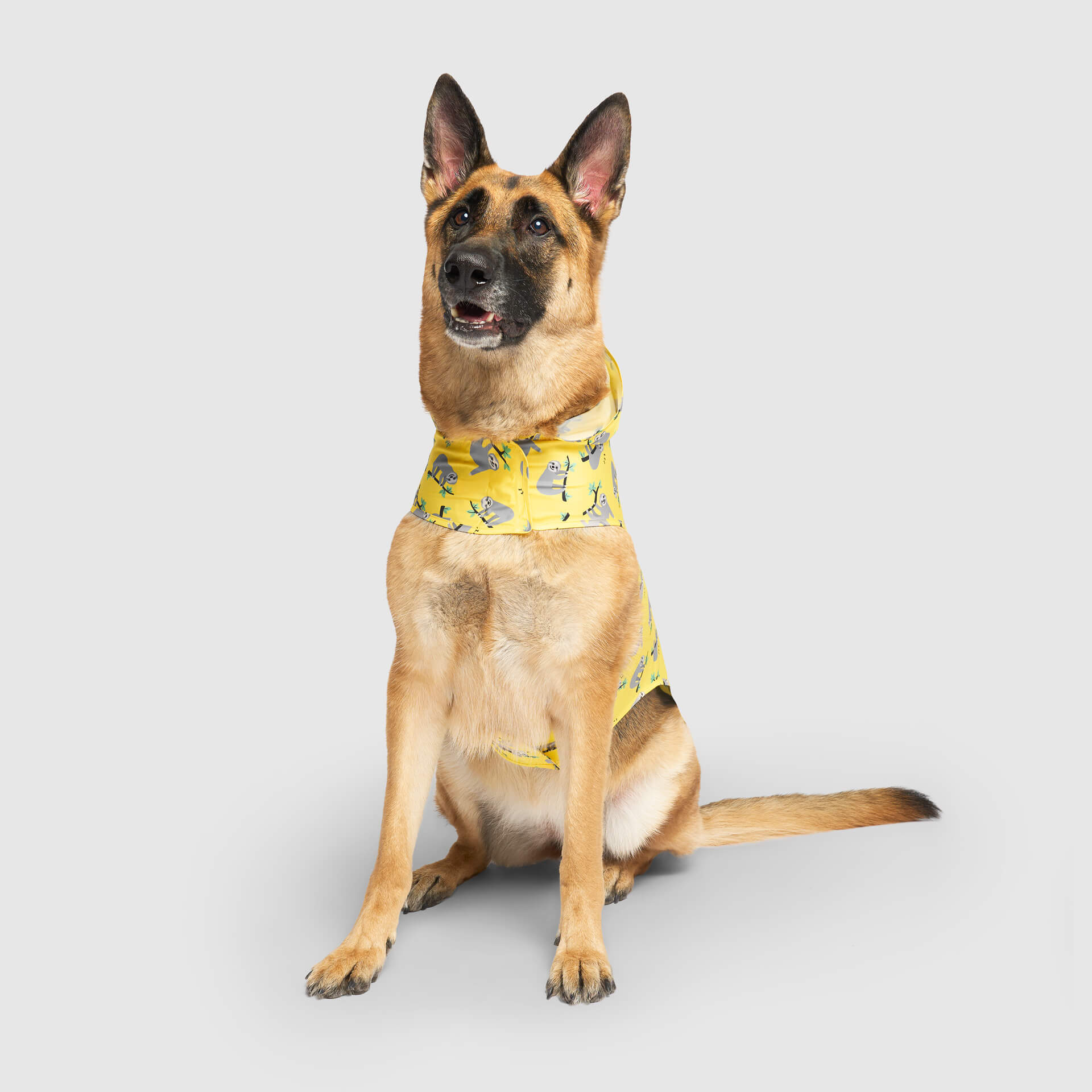 Canada Pooch Pick Me Poncho — SKU SB-A53199-ADDD5996031858 - Image 24
