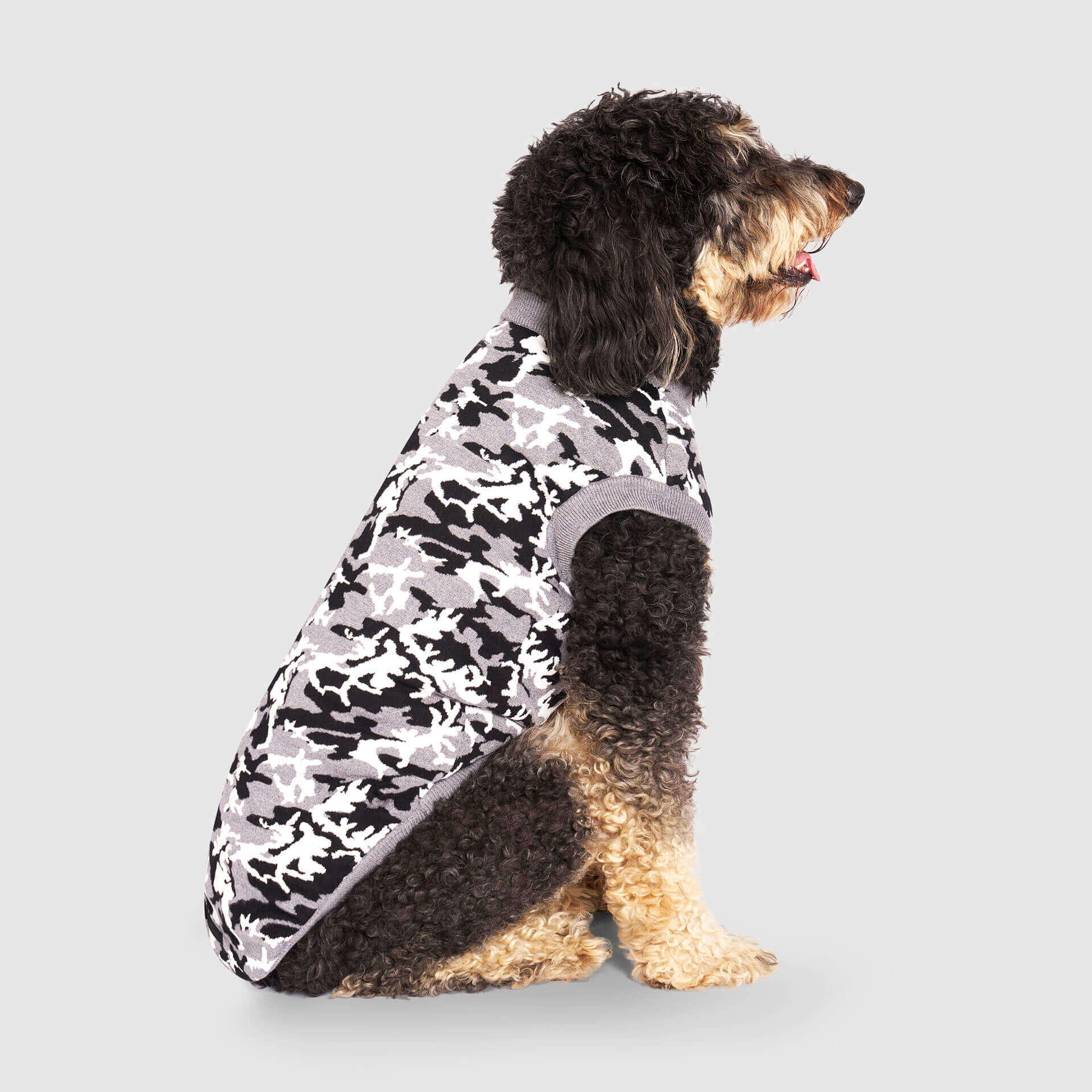 Canada Pooch Glow-In-The-Dark Sweater