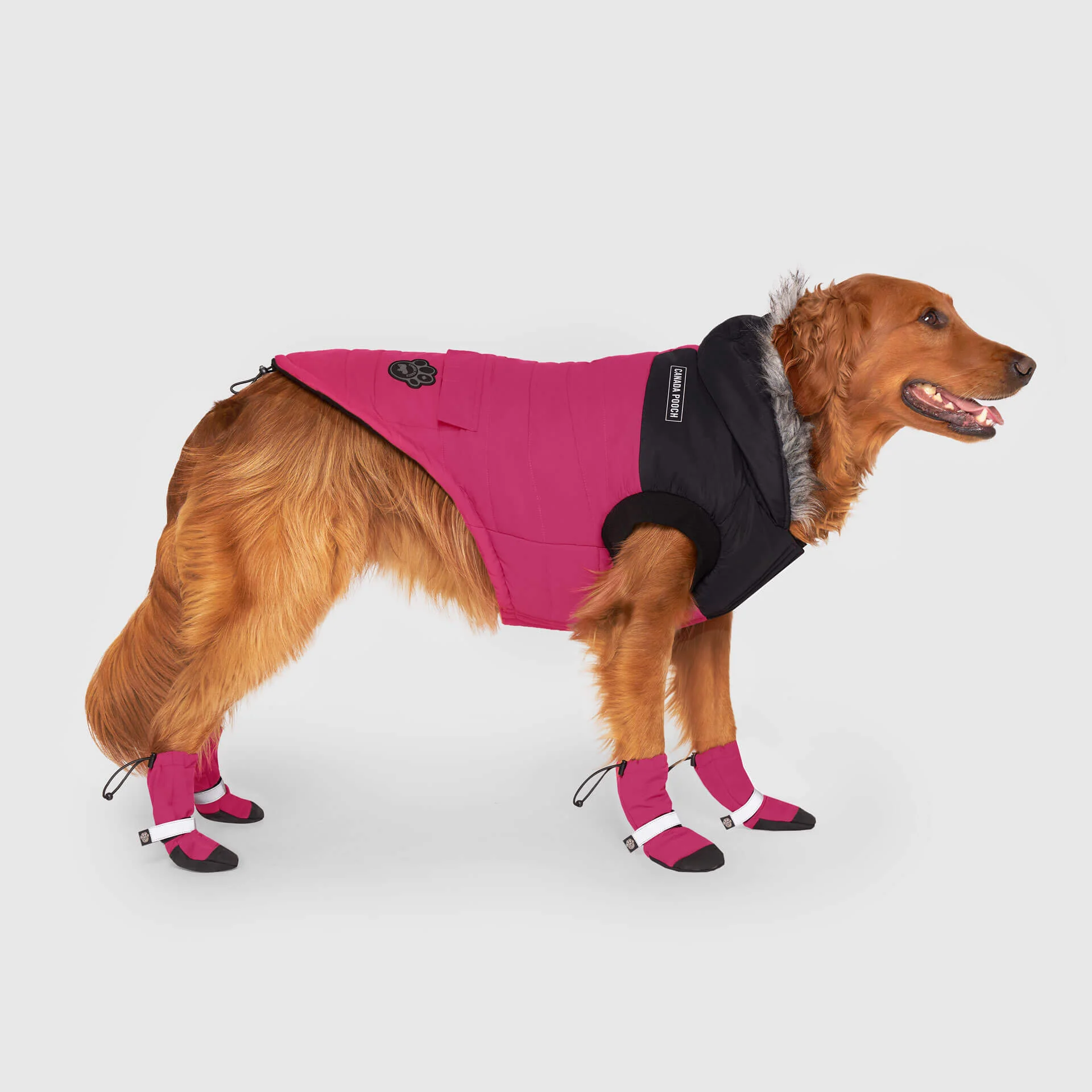 Canada Pooch True North Parka - Image 7
