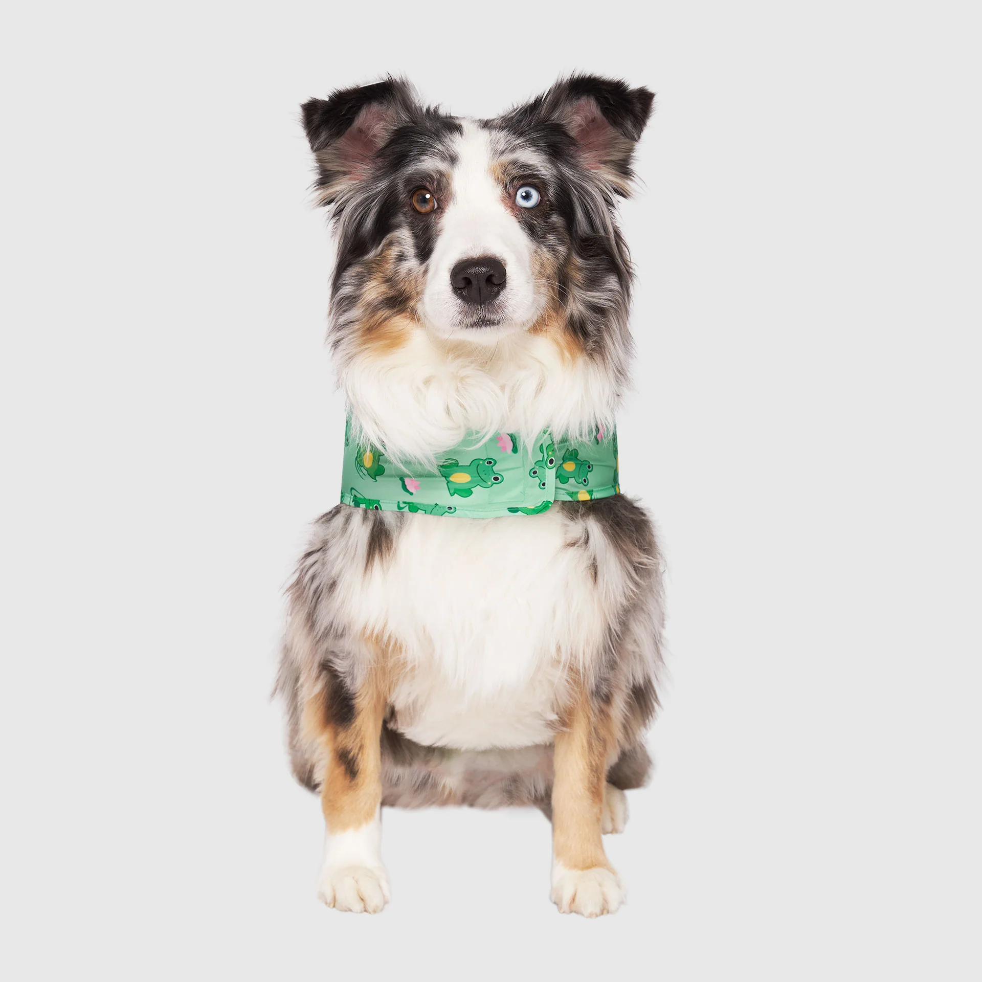 Canada Pooch Pick Me Poncho — SKU SB-A53199-ADDD5996031858 - Image 16