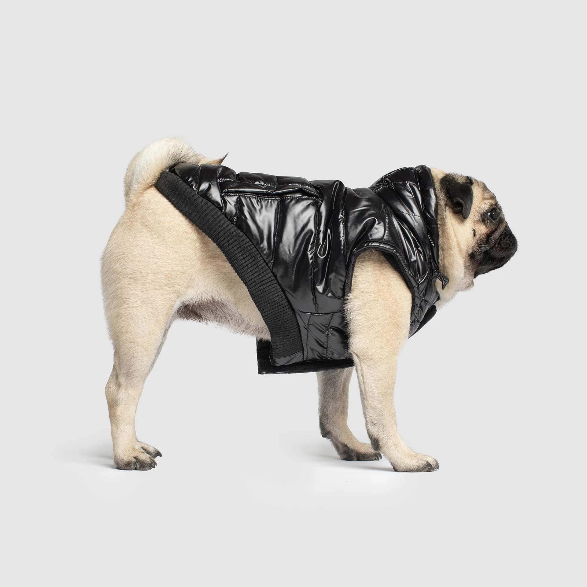 Canada Pooch Shiny Puffer Vest