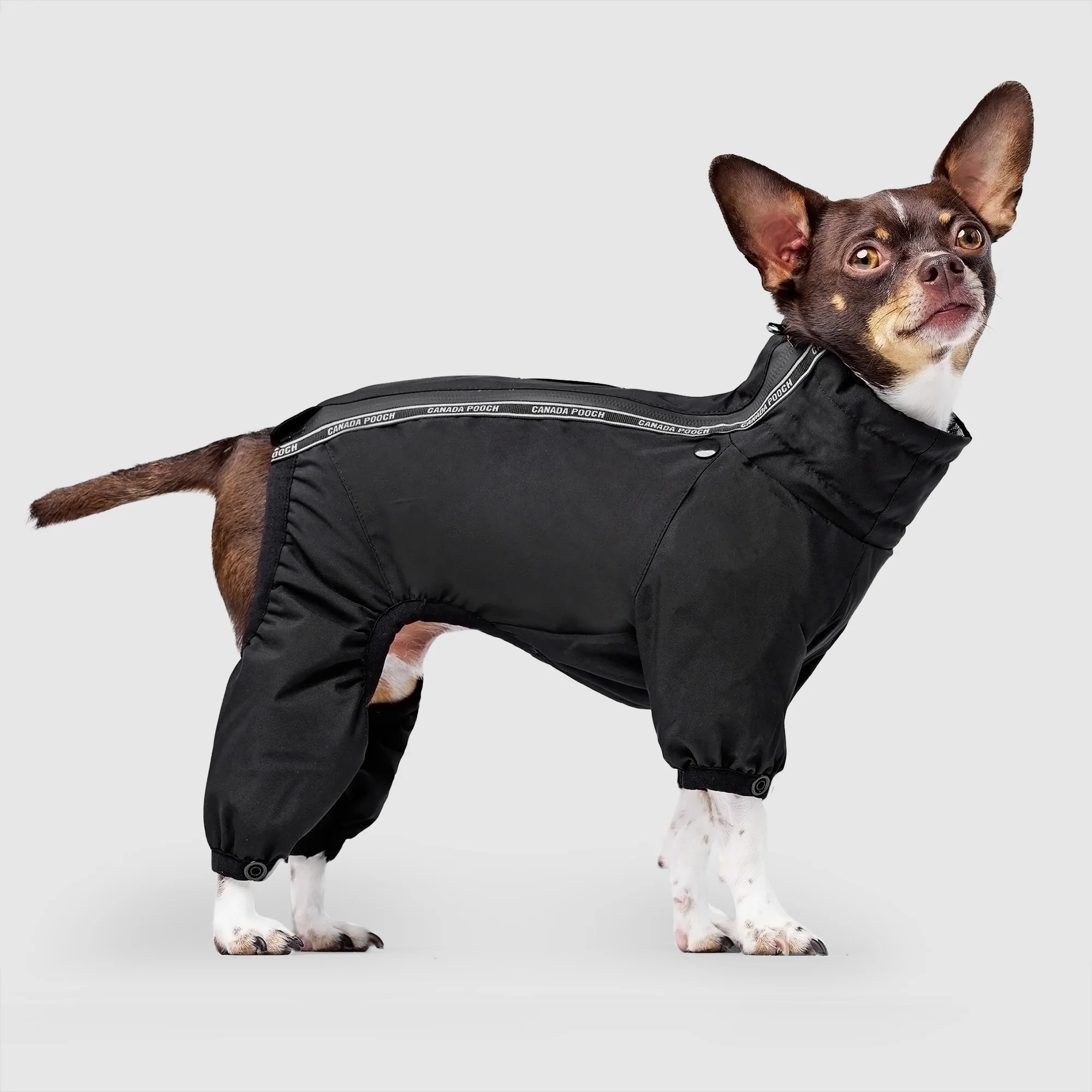Canada Pooch Snow Suit