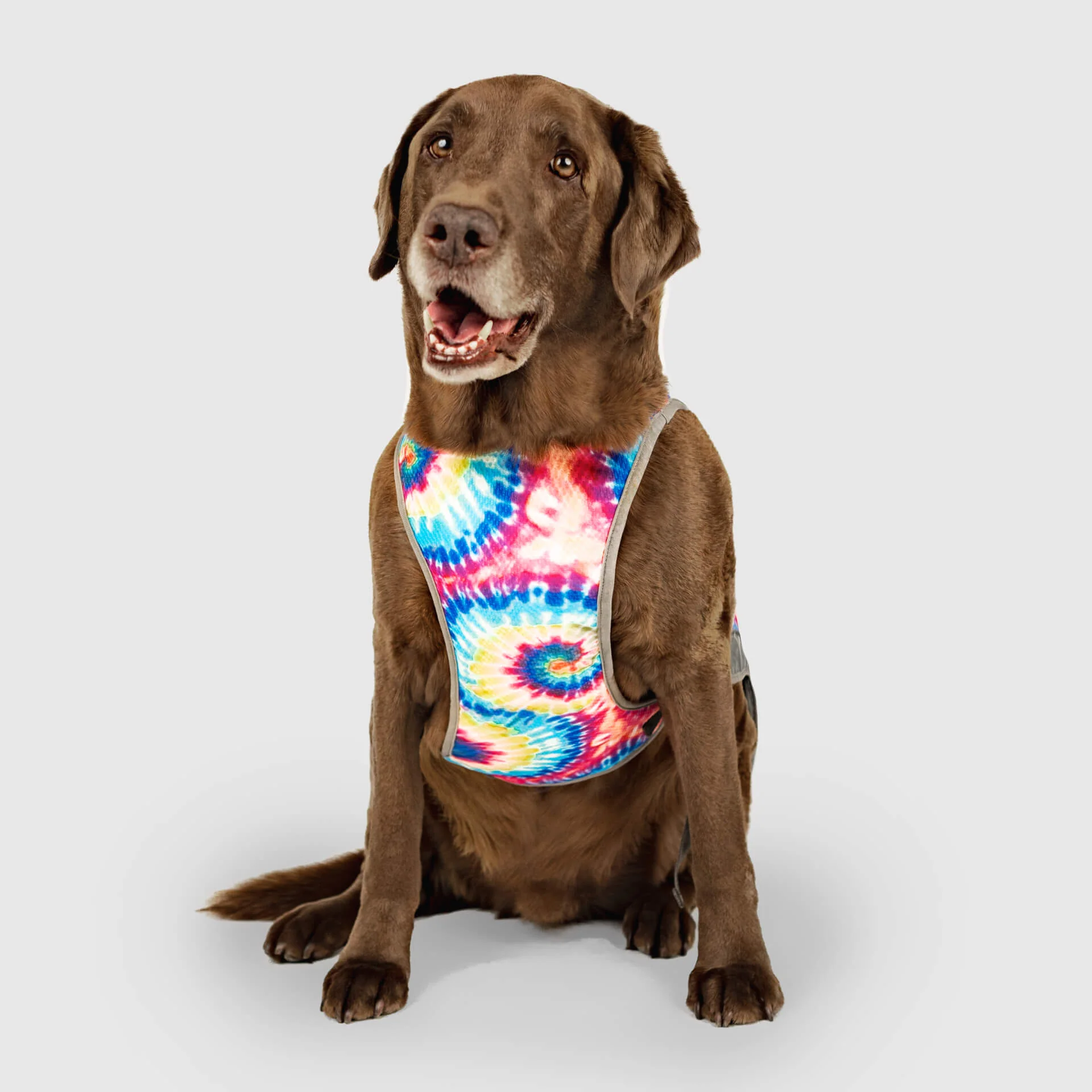 Canada Pooch Chill Seeker Cooling Vest - Image 16