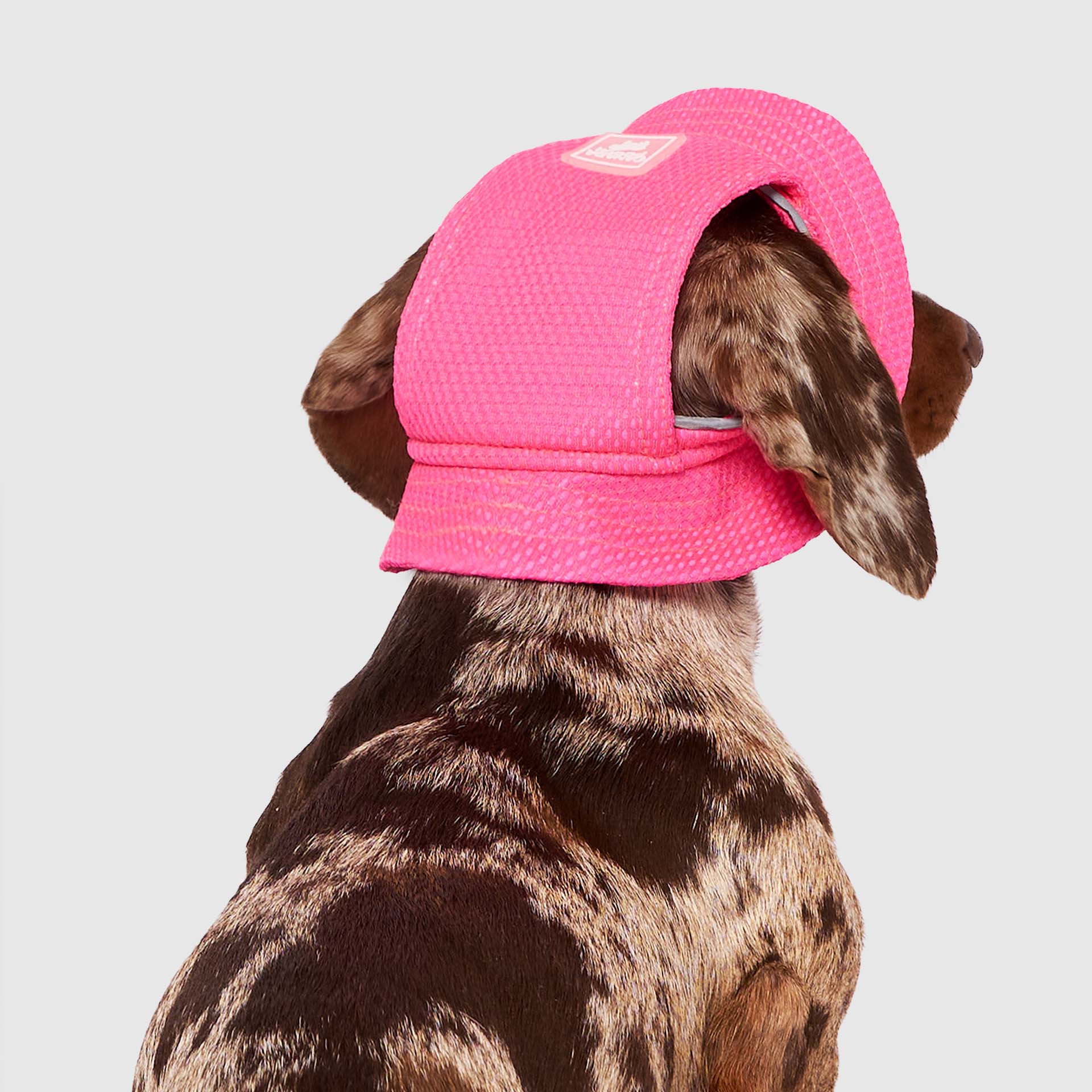 Canada Pooch Chill Seeker Cooling Hat - Image 6
