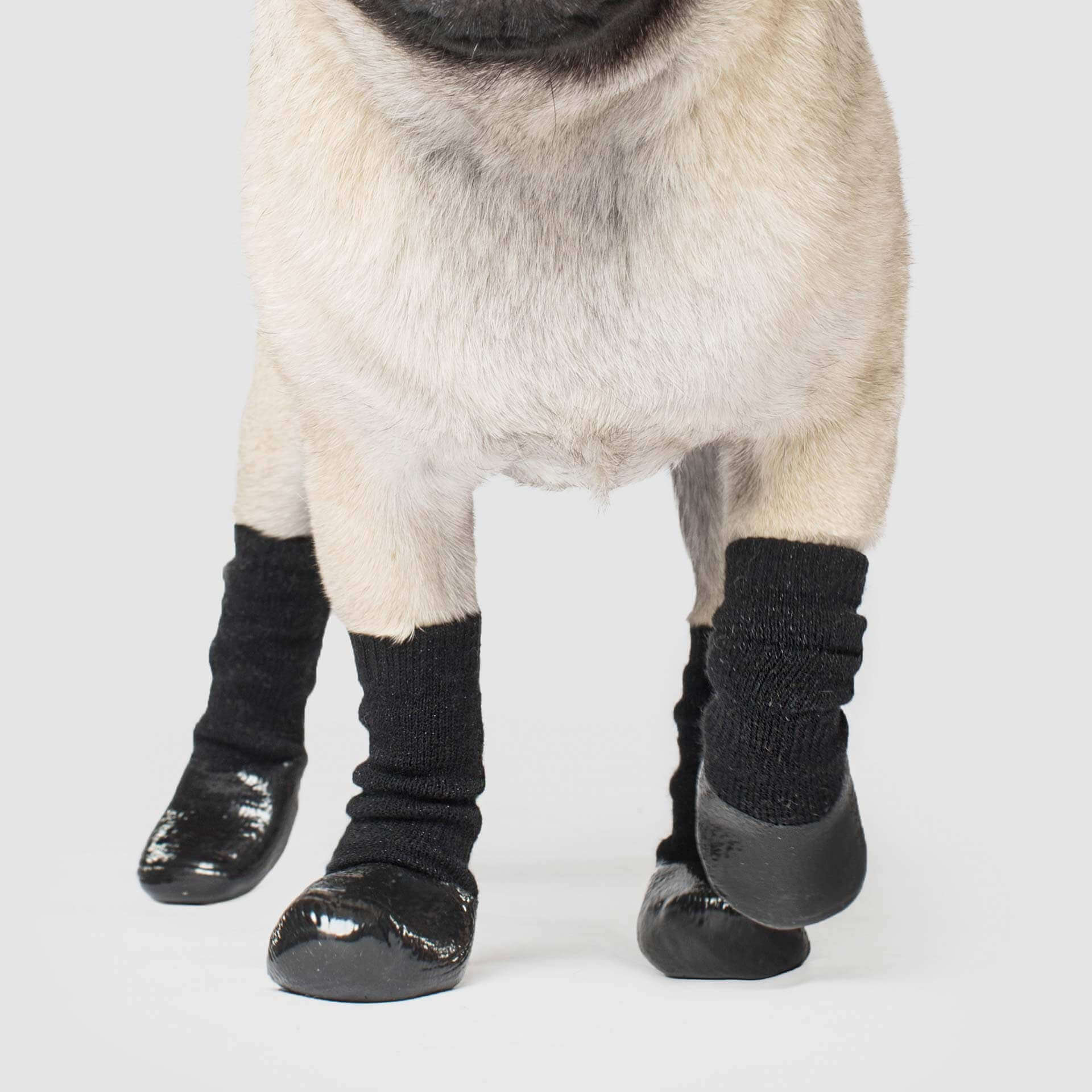 Canada Pooch Slouchy Socks - Image 2