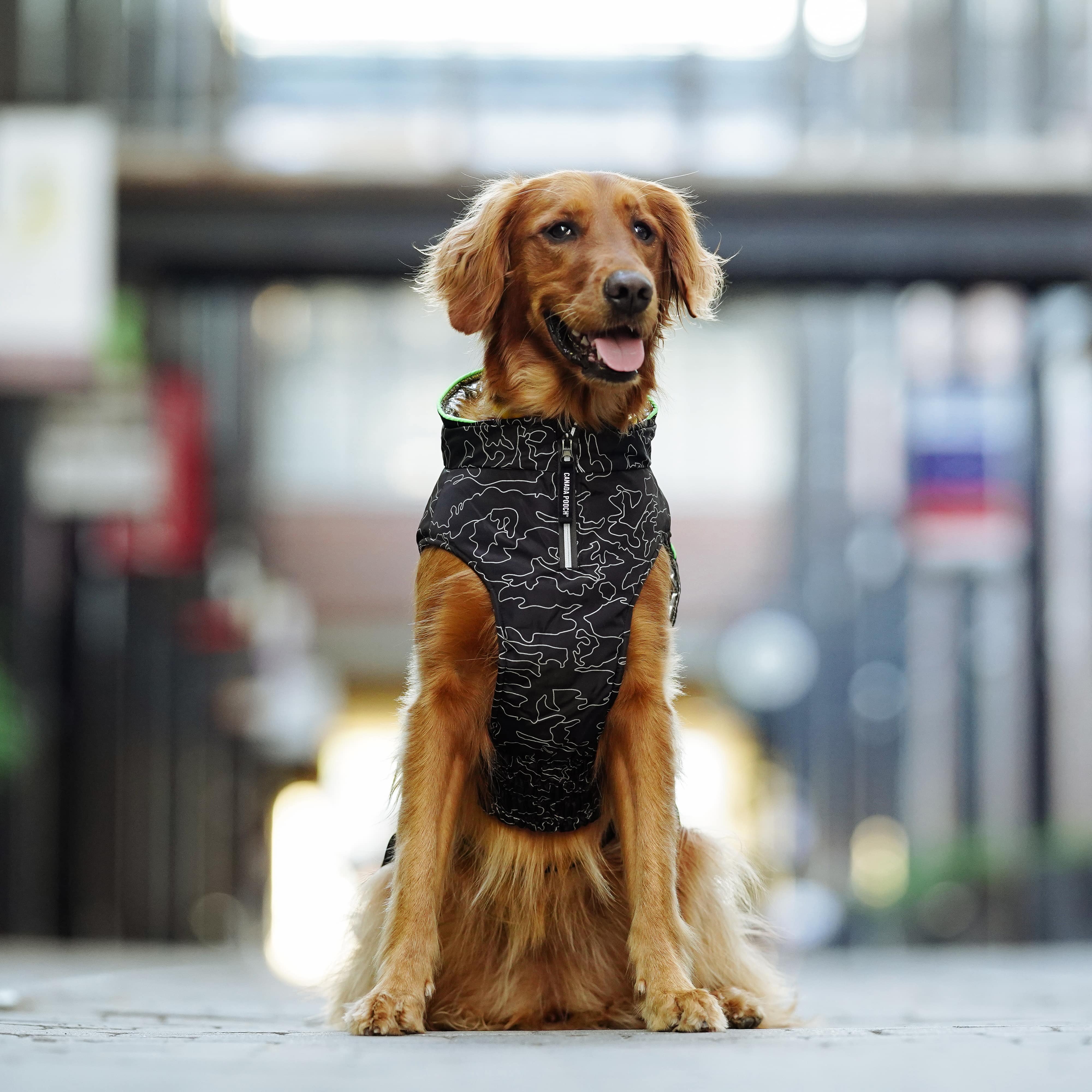 Canada Pooch Expedition Coat 2.0 - Image 4