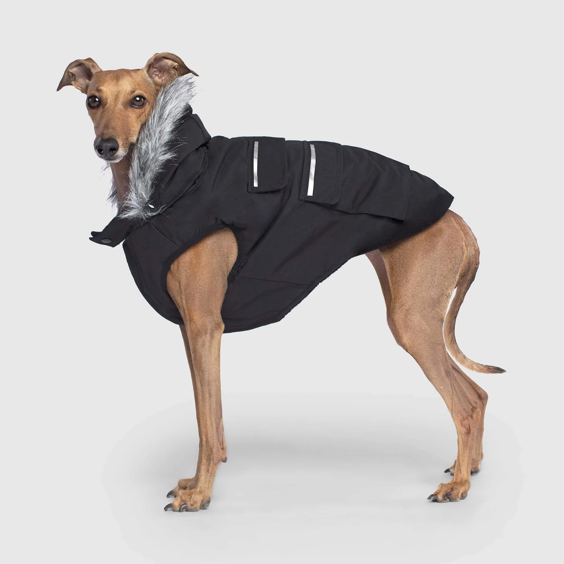 Canada Pooch Everest Explorer Jacket