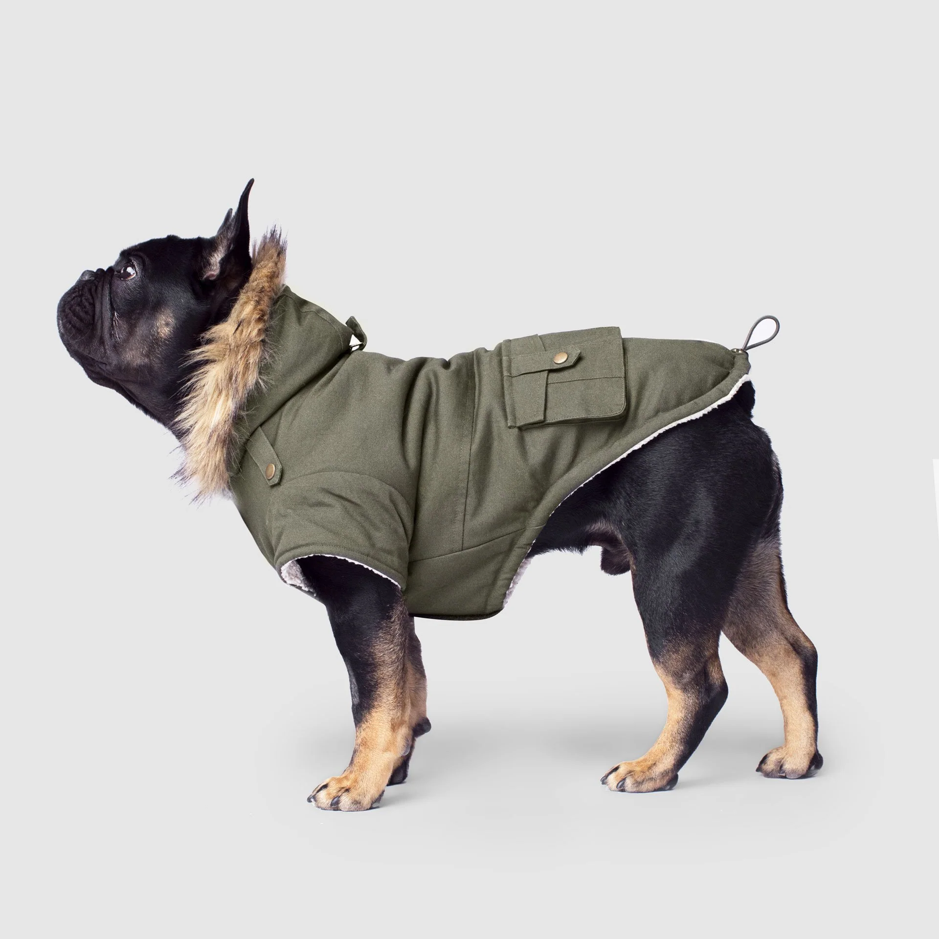 Canada Pooch Alaskan Army Parka - Image 2
