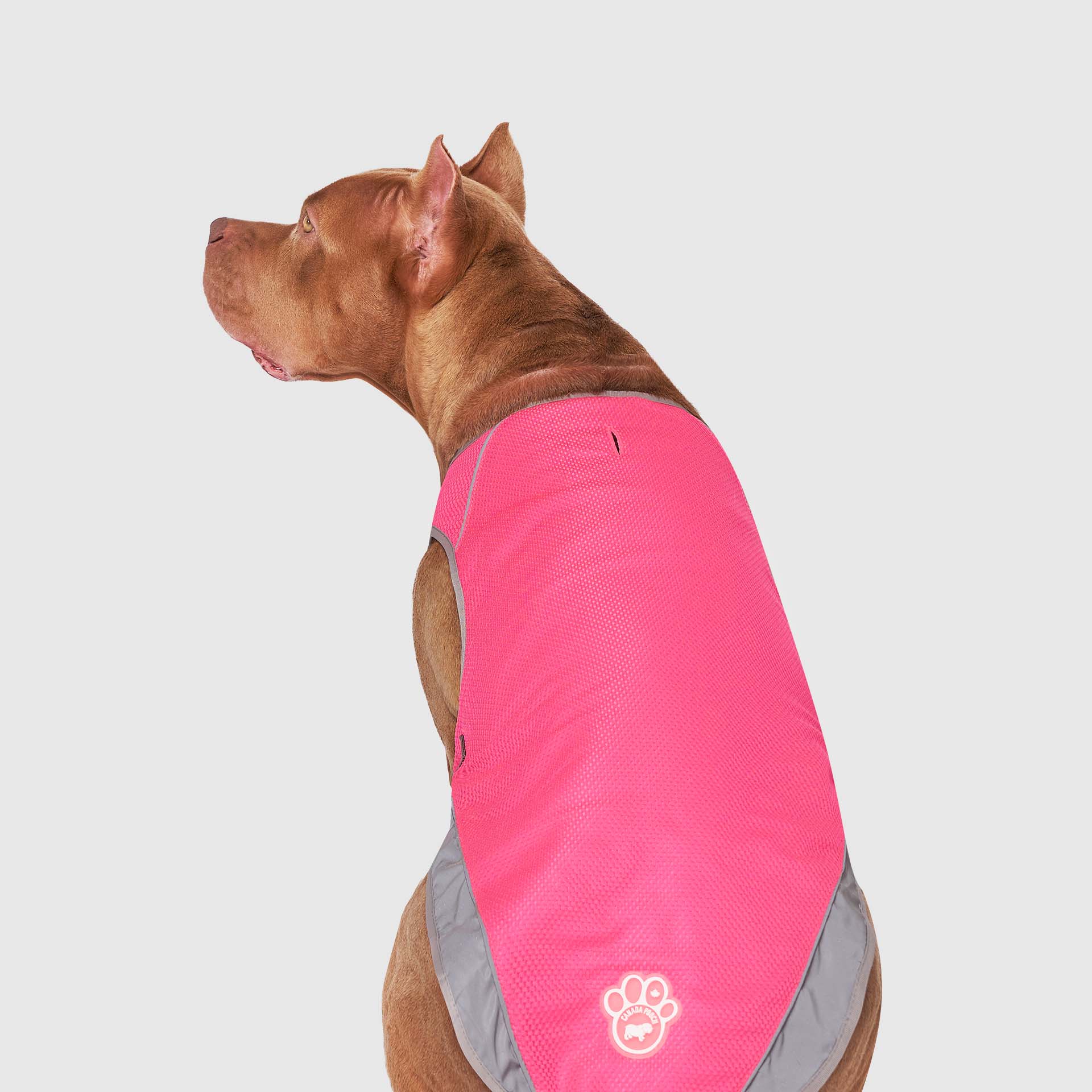Canada Pooch Chill Seeker Cooling Vest - Image 37