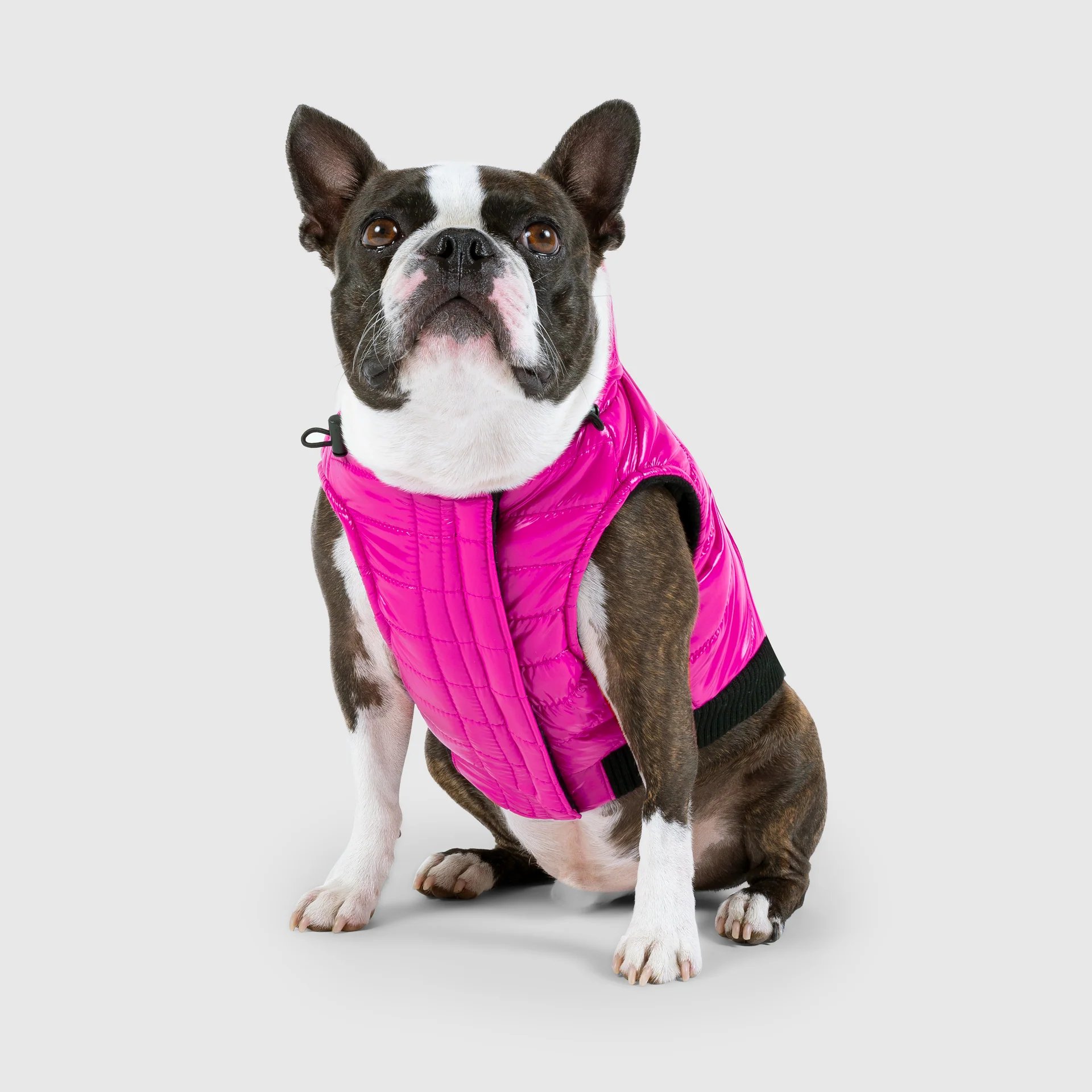 Canada Pooch Shiny Puffer Vest - Image 7