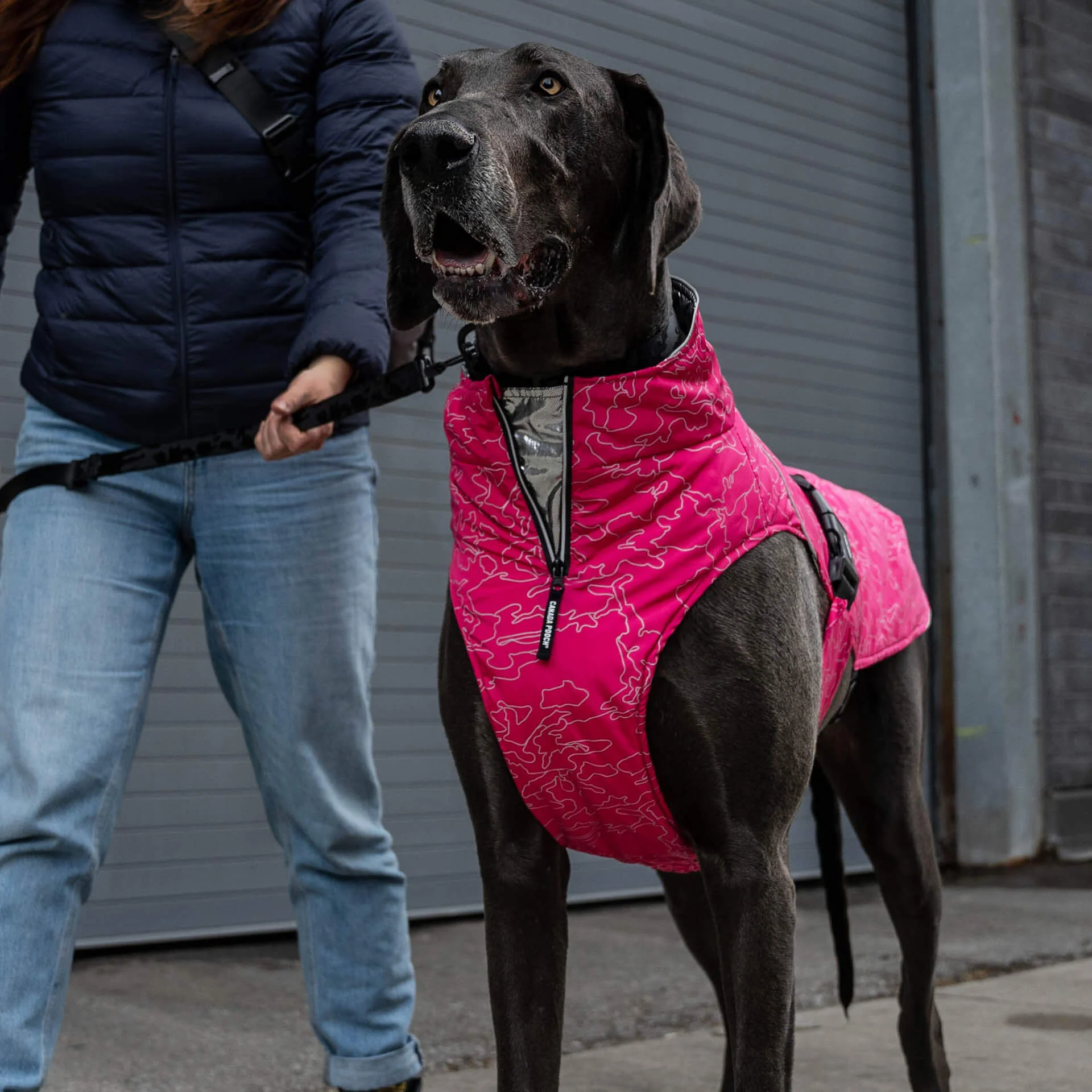 Canada Pooch Expedition Coat 2.0 - Image 14