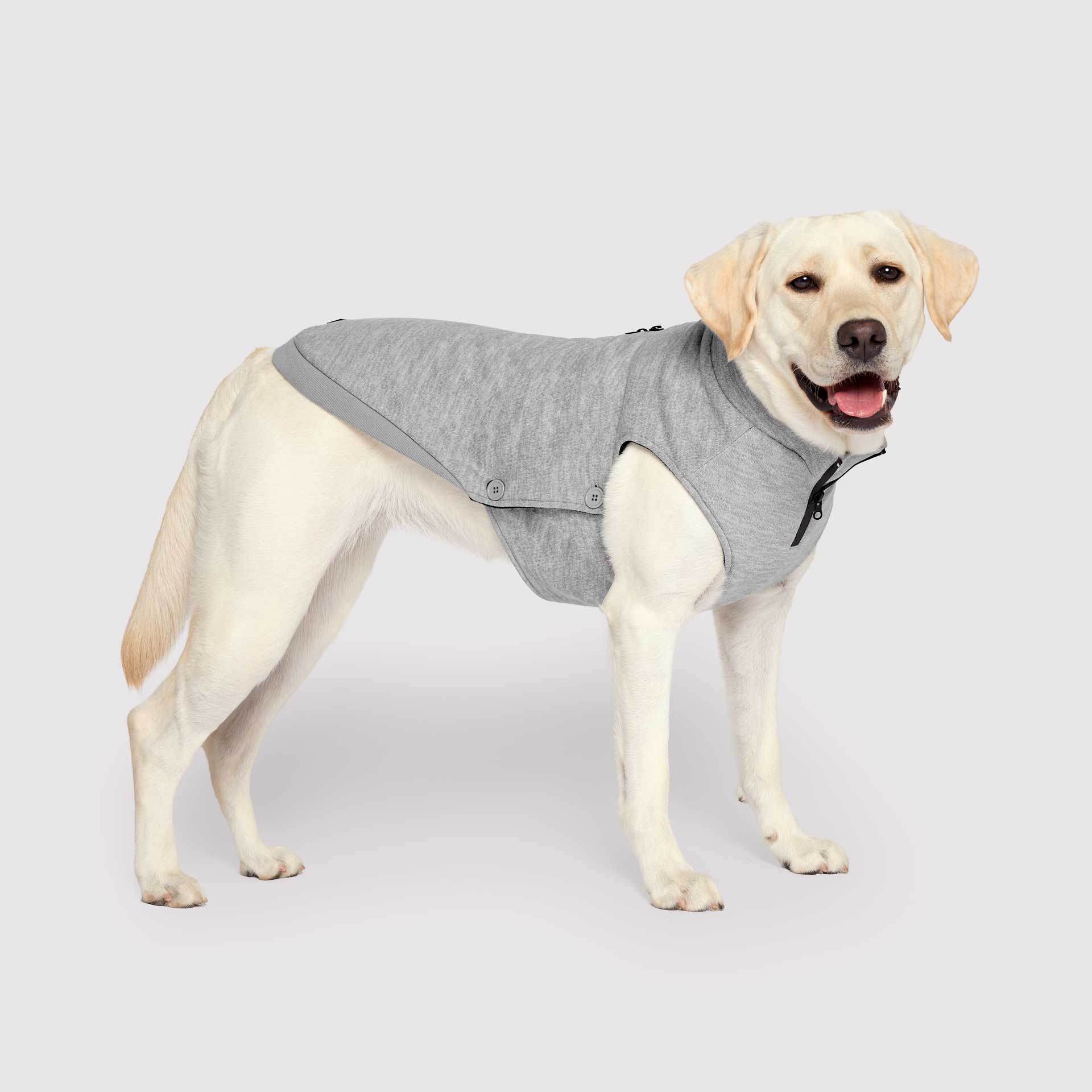 Canada Pooch Waterproof Sweater