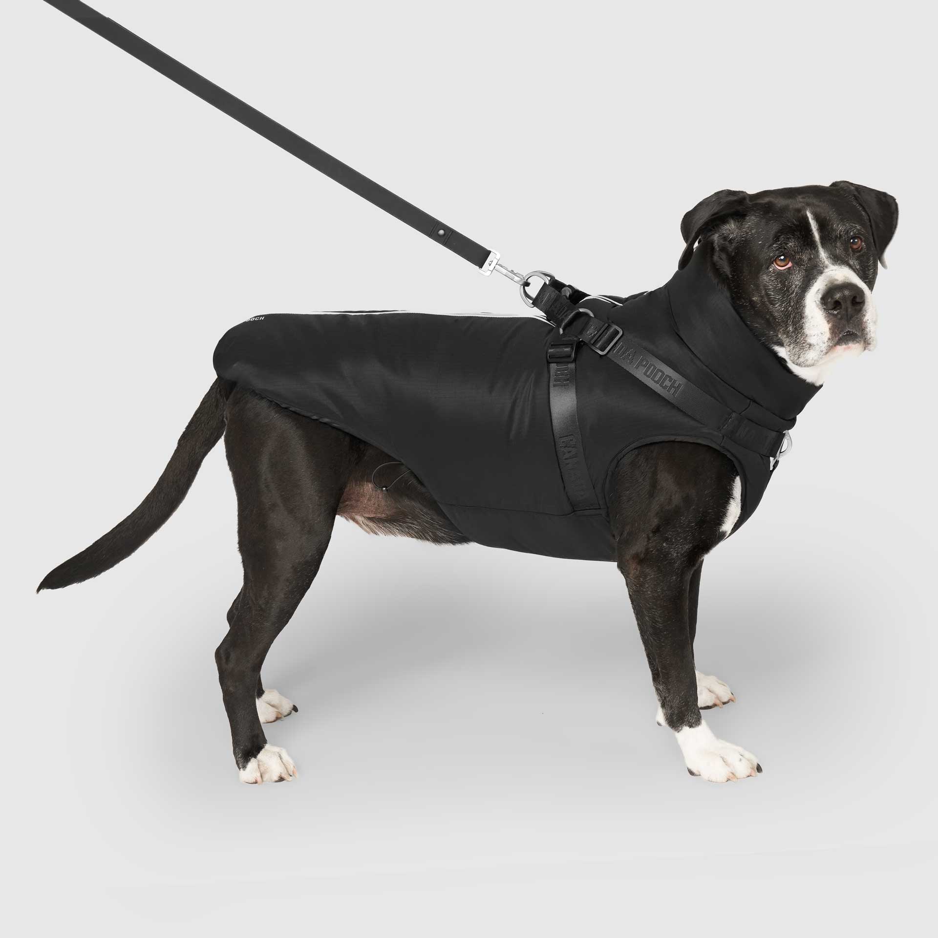 Canada Pooch Complete Control Harness Winter Jacket