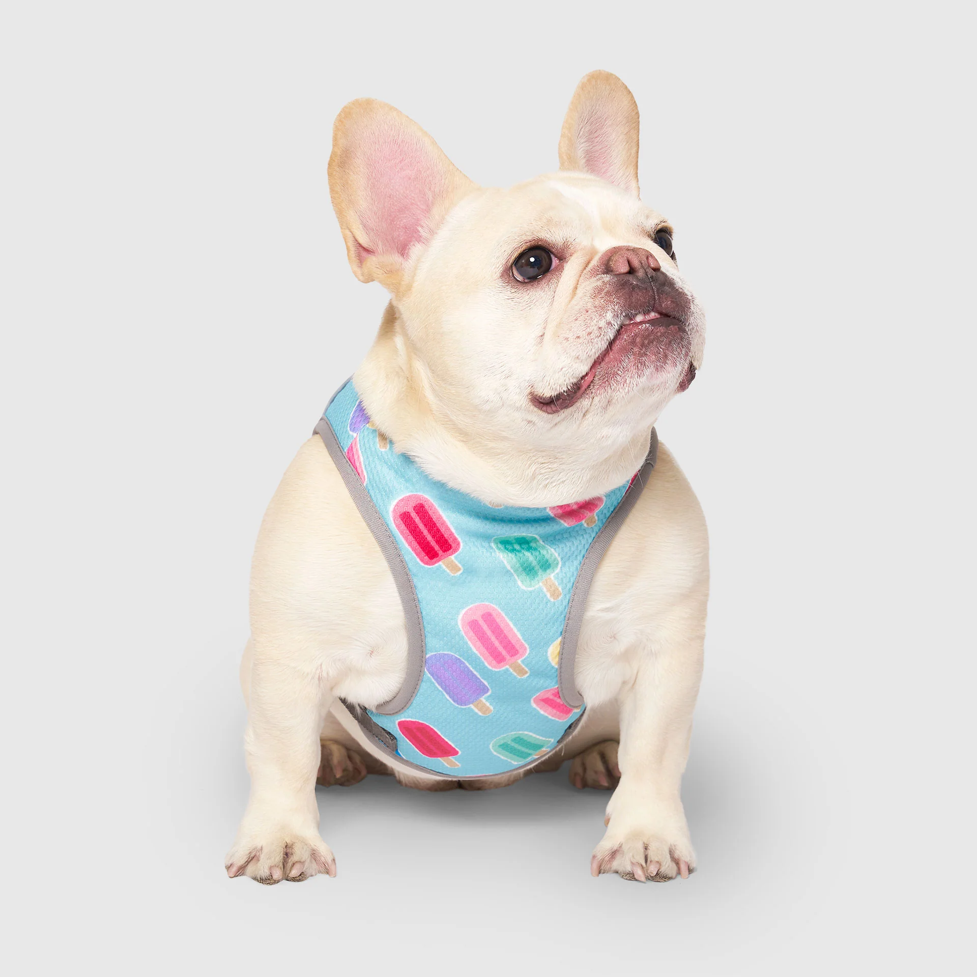 Canada Pooch Chill Seeker Cooling Vest - Image 24