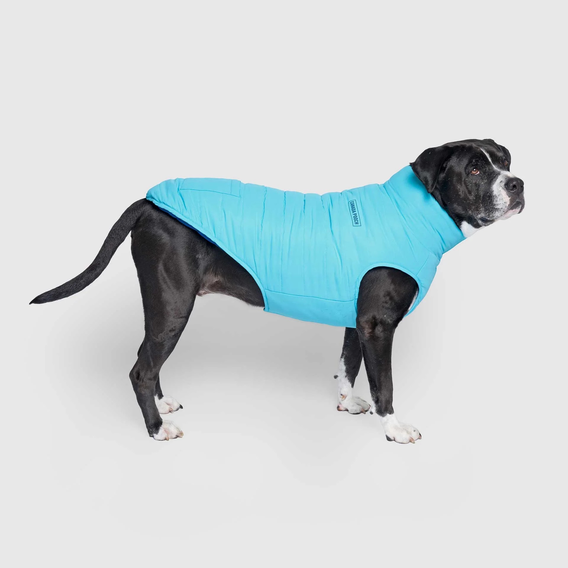 Canada Pooch Reversible Puffer Vest - Image 6