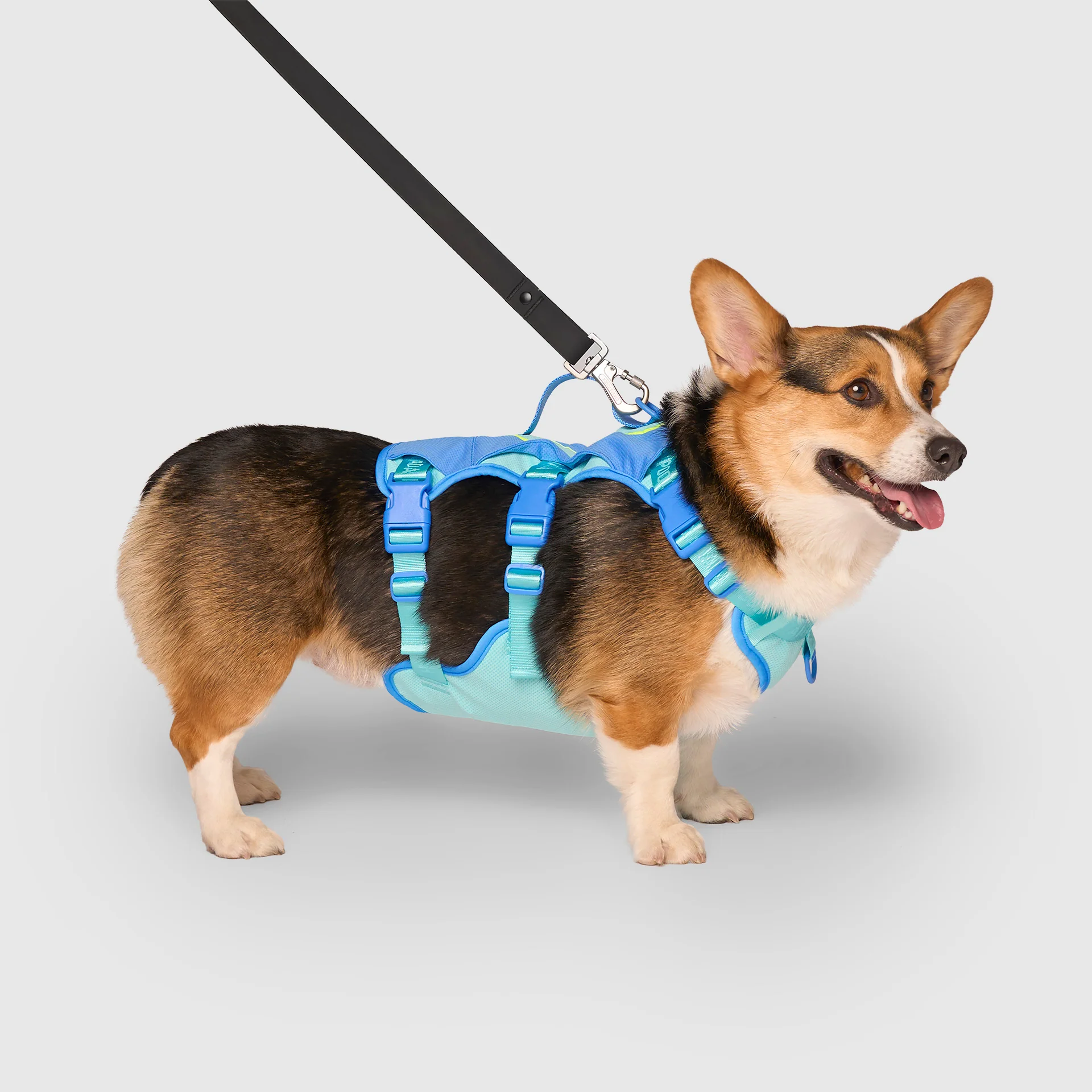 Canada Pooch Max Chill Cooling Harness