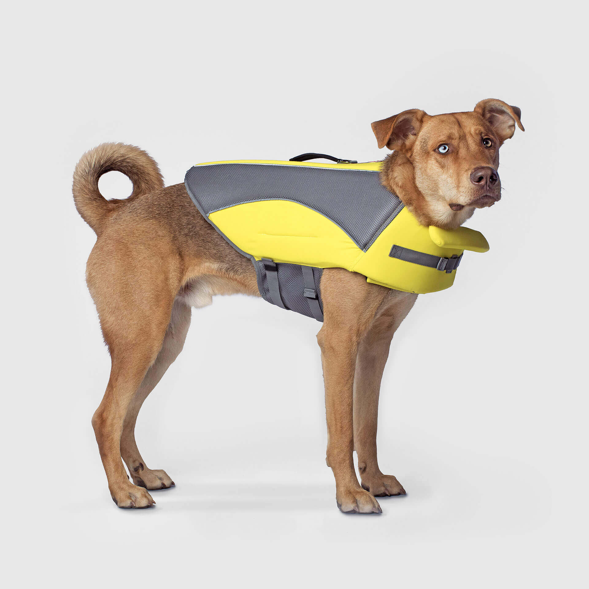 Canada Pooch Wave Rider Life Jacket — SKU SB-A53199-85982FD08BF2B6