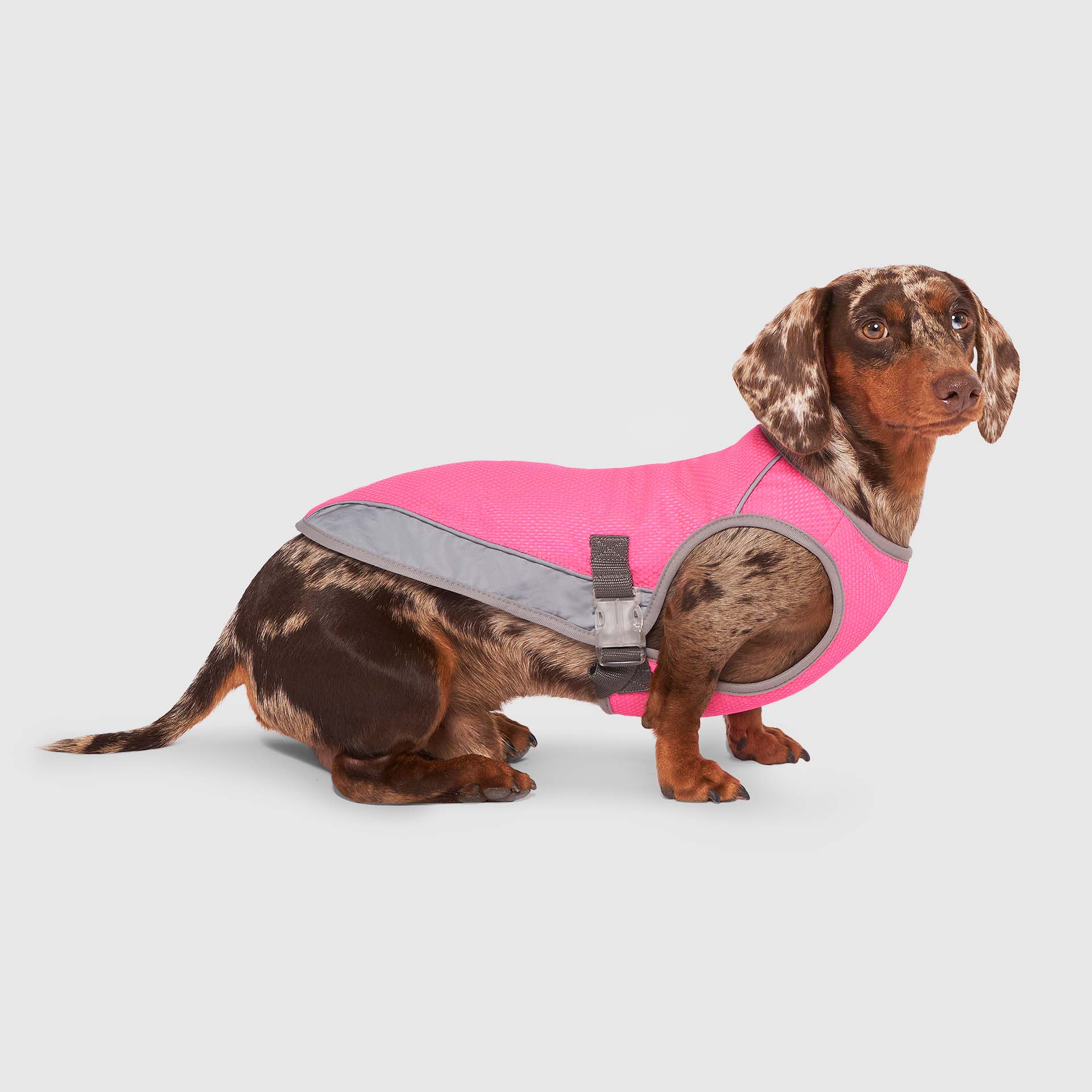 Canada Pooch Chill Seeker Cooling Vest - Image 36
