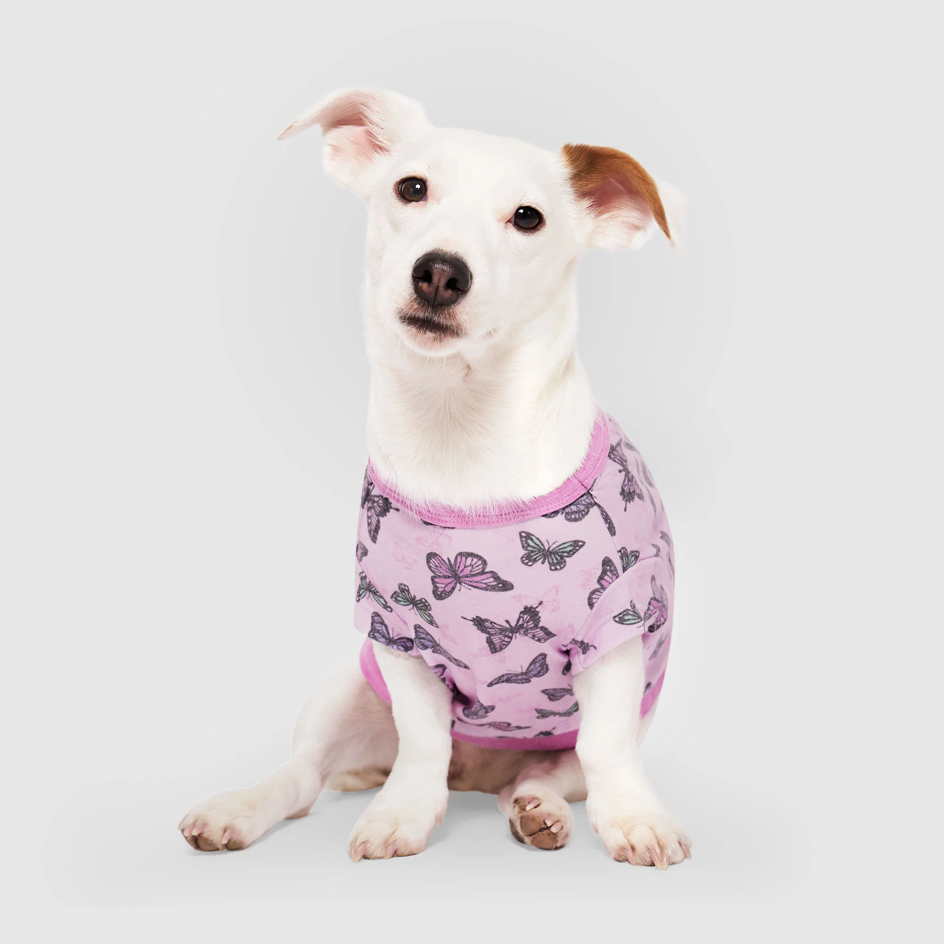 Canada Pooch Follow Me Tee - Image 2