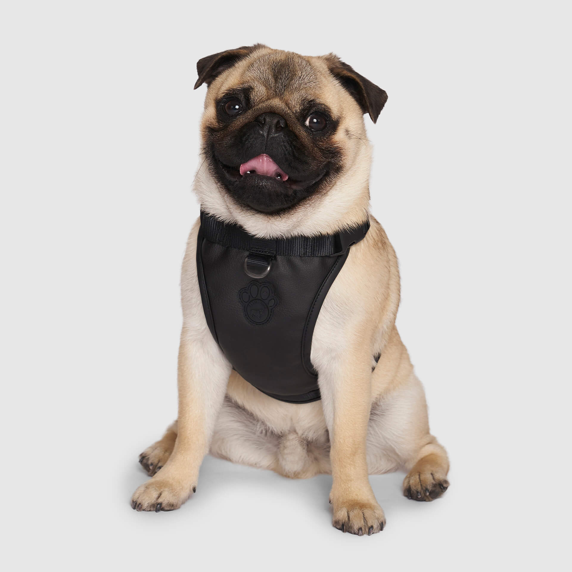 Canada Pooch Eco+ Everything Harness
