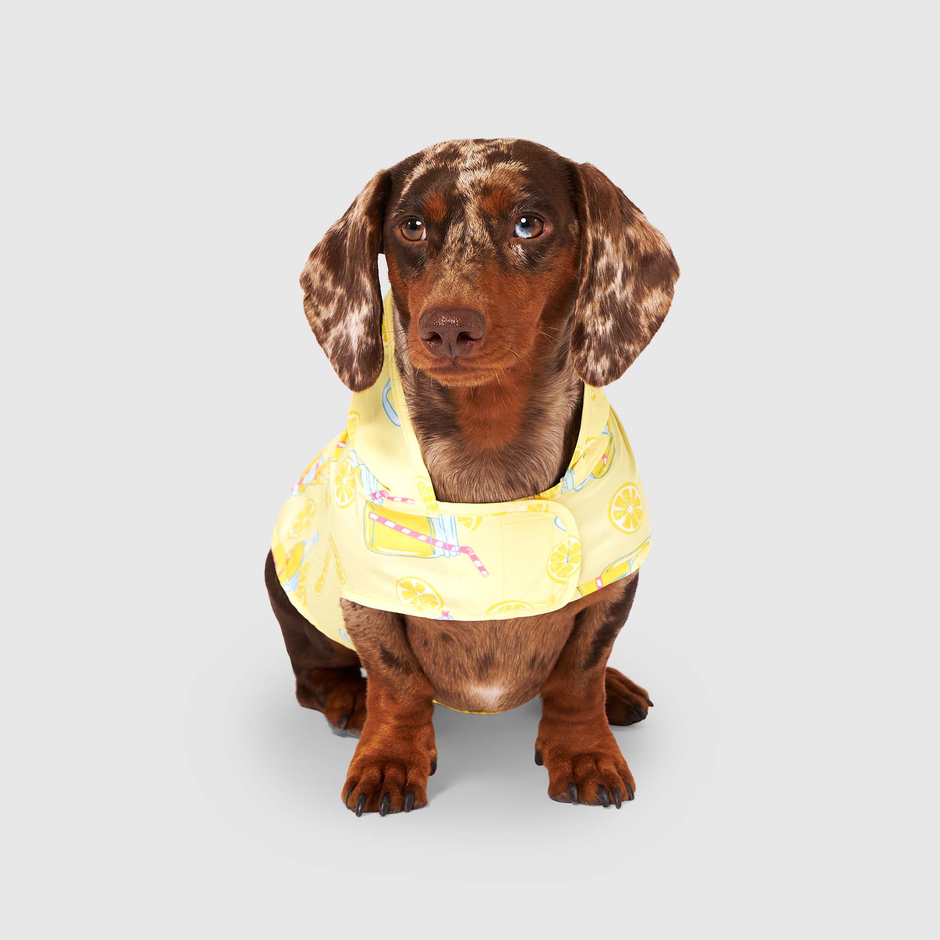 Canada Pooch Pick Me Poncho — SKU SB-A53199-ADDD5996031858 - Image 2