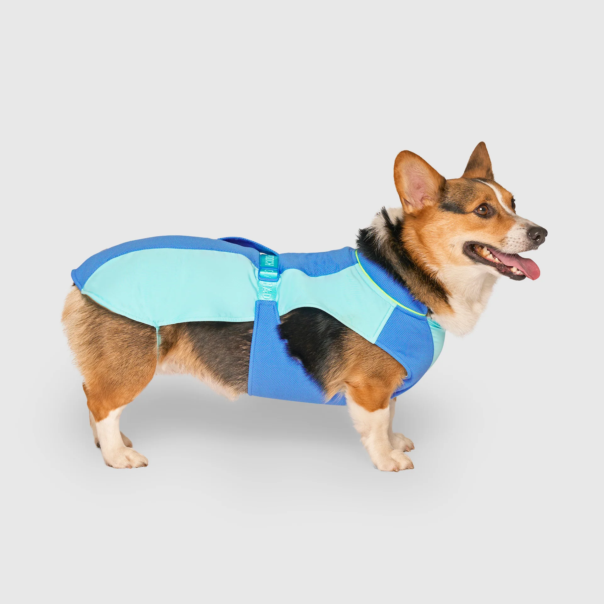 Canada Pooch Max Chill Cooling Vest
