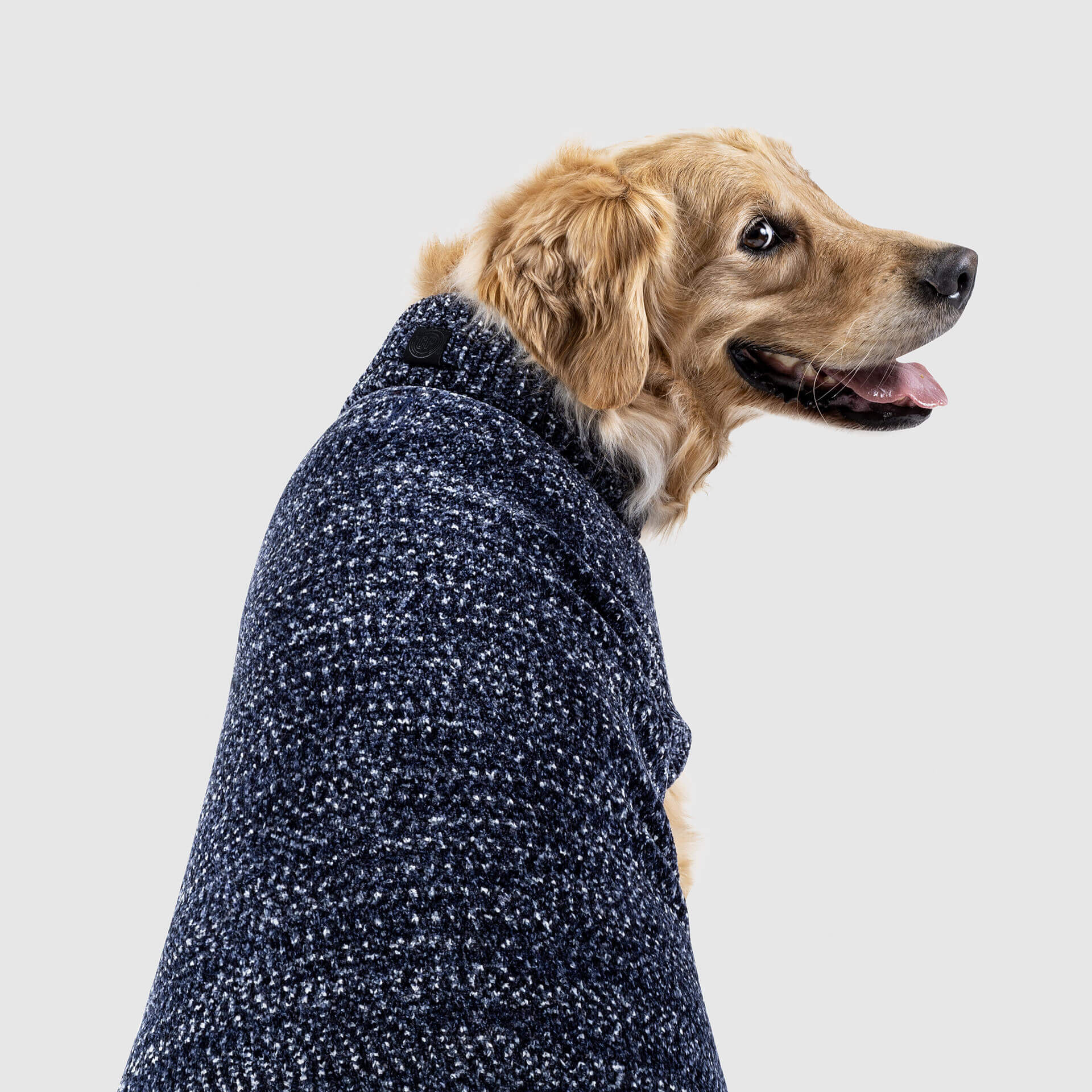 Canada Pooch Soho Sweater - Image 3