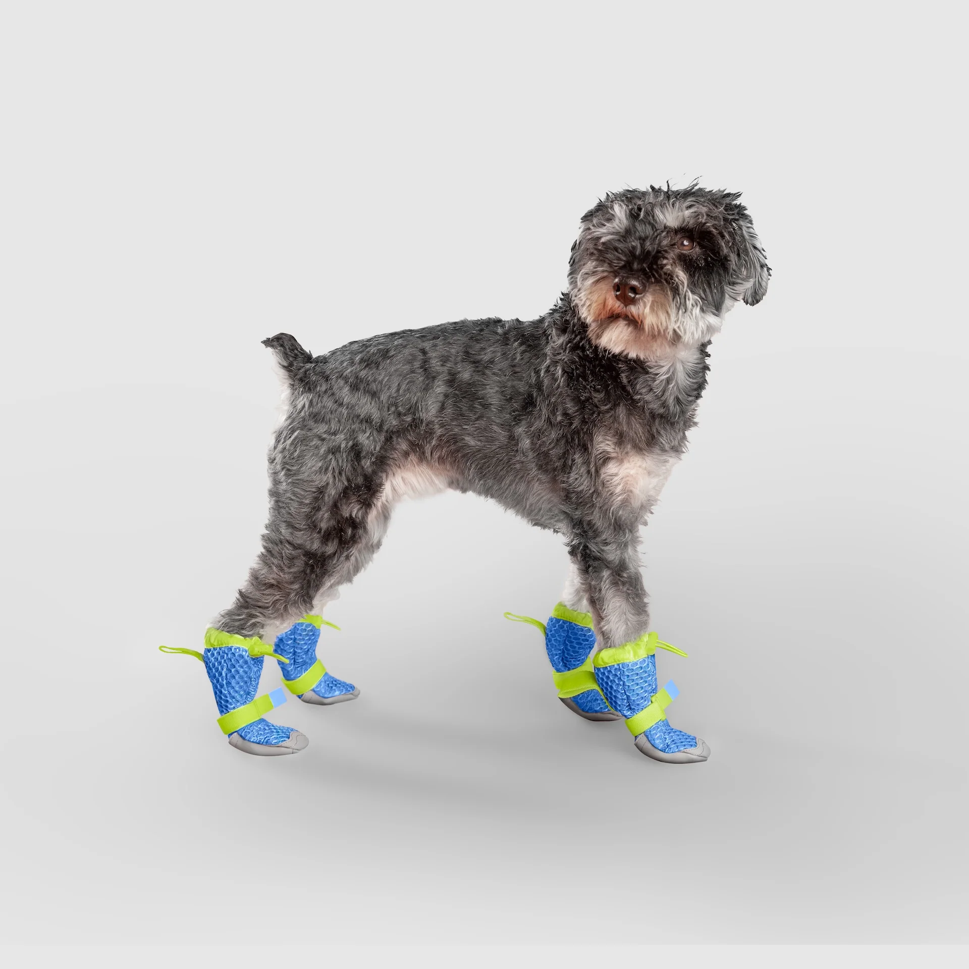 Canada Pooch Hot Pavement Boots